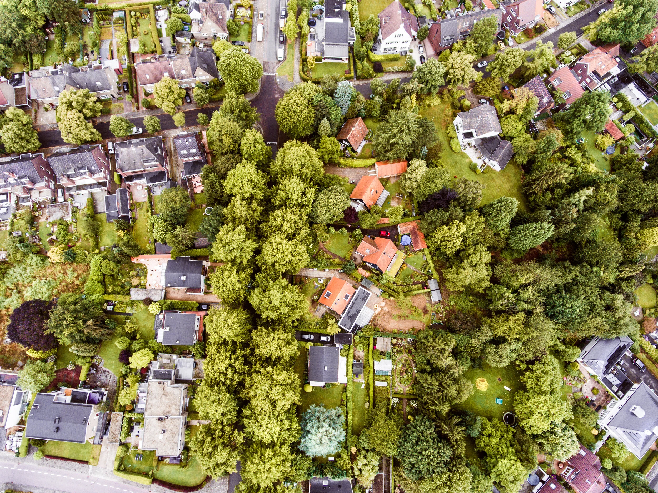 graphicstock-aerial-view-of-dutch-town-houses-with-gardens-green-park-with-trees_Suff4juSGZ.jpg