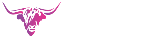 Kyloe | Customer Engagement Solutions Without Compromise