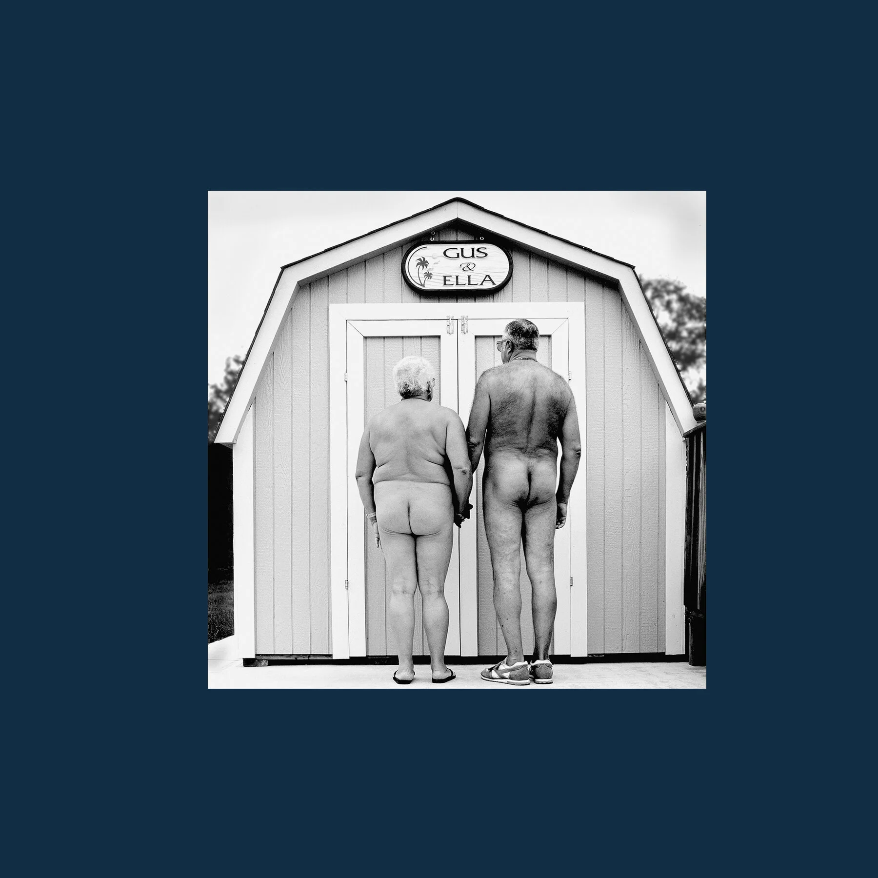 LP1N.jpg
