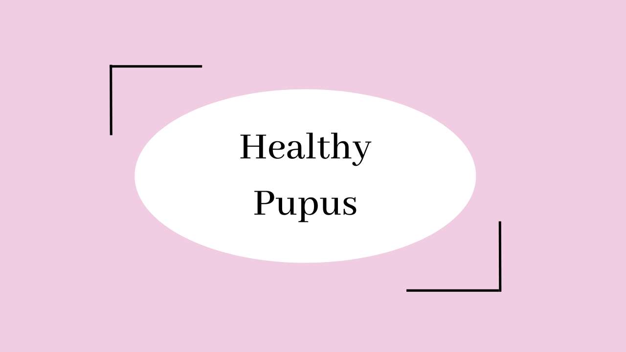 click on image to view recipes for pupus!