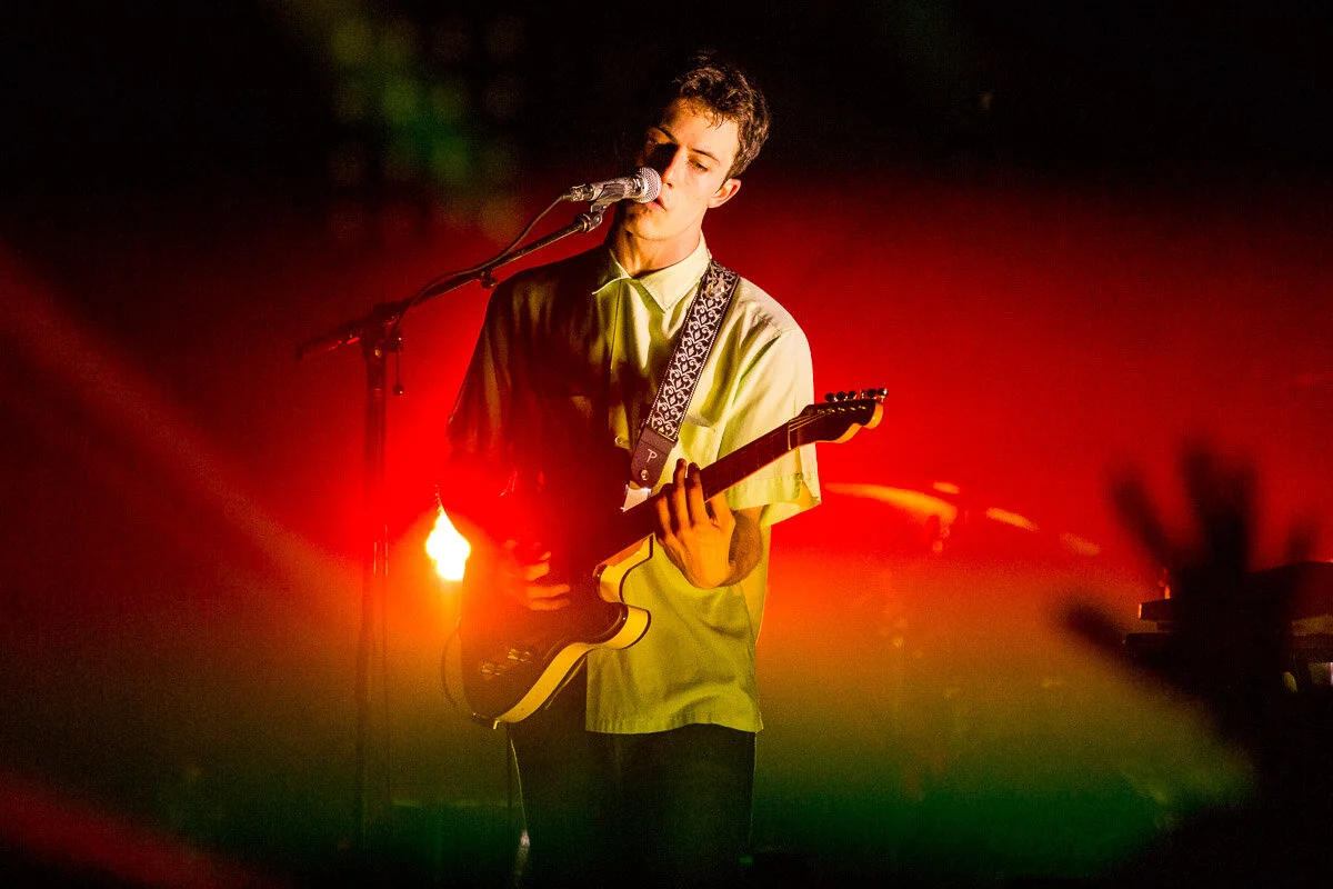 Wallows