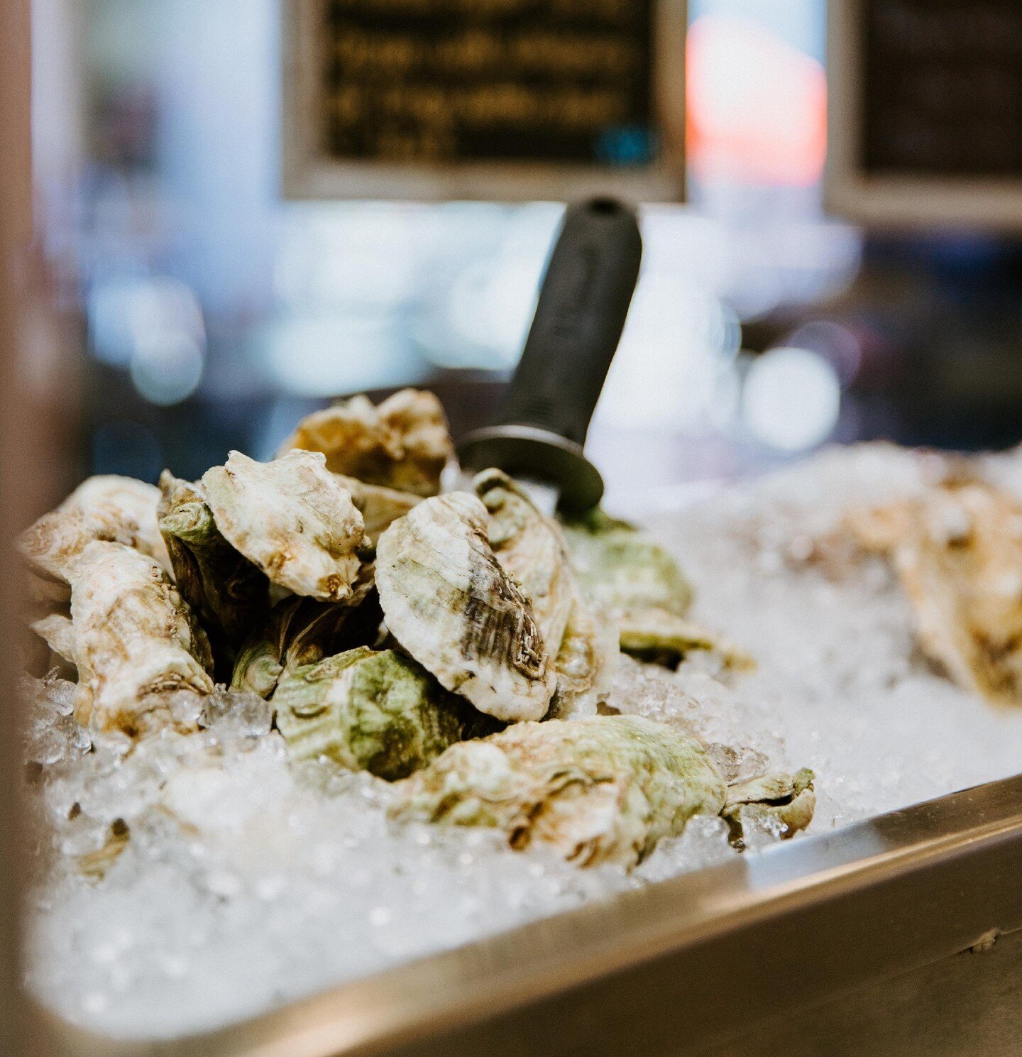 Dive into the oceanic delight at STIR with our freshest in-season oysters from the Gulf of Mexico, Eastern Seaboard, and Pacific and Canadian waters!

Our selection is ever-changing to bring you the best and most intriguing oysters available. Indulge