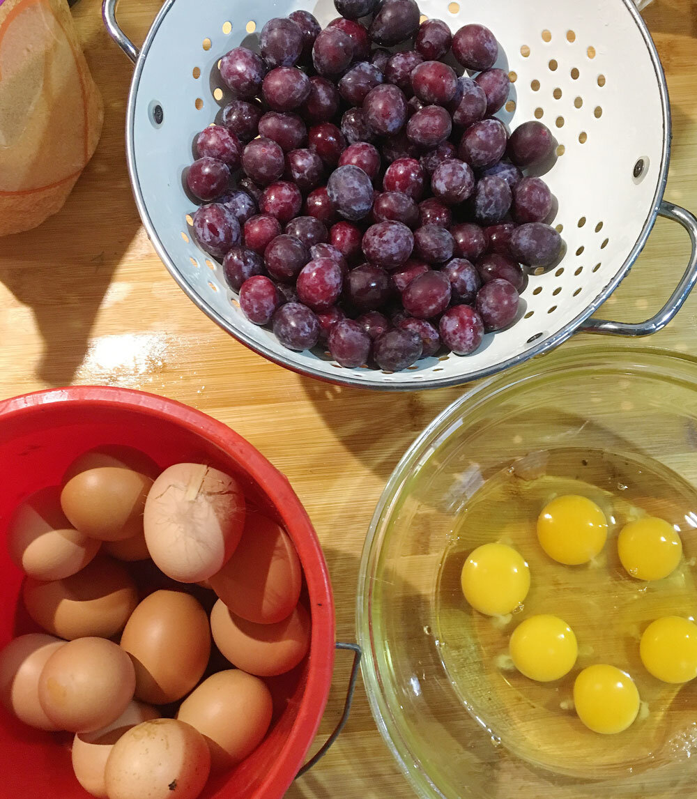 fresh eggs gathered this morning with the mirabelles for the clafoutis