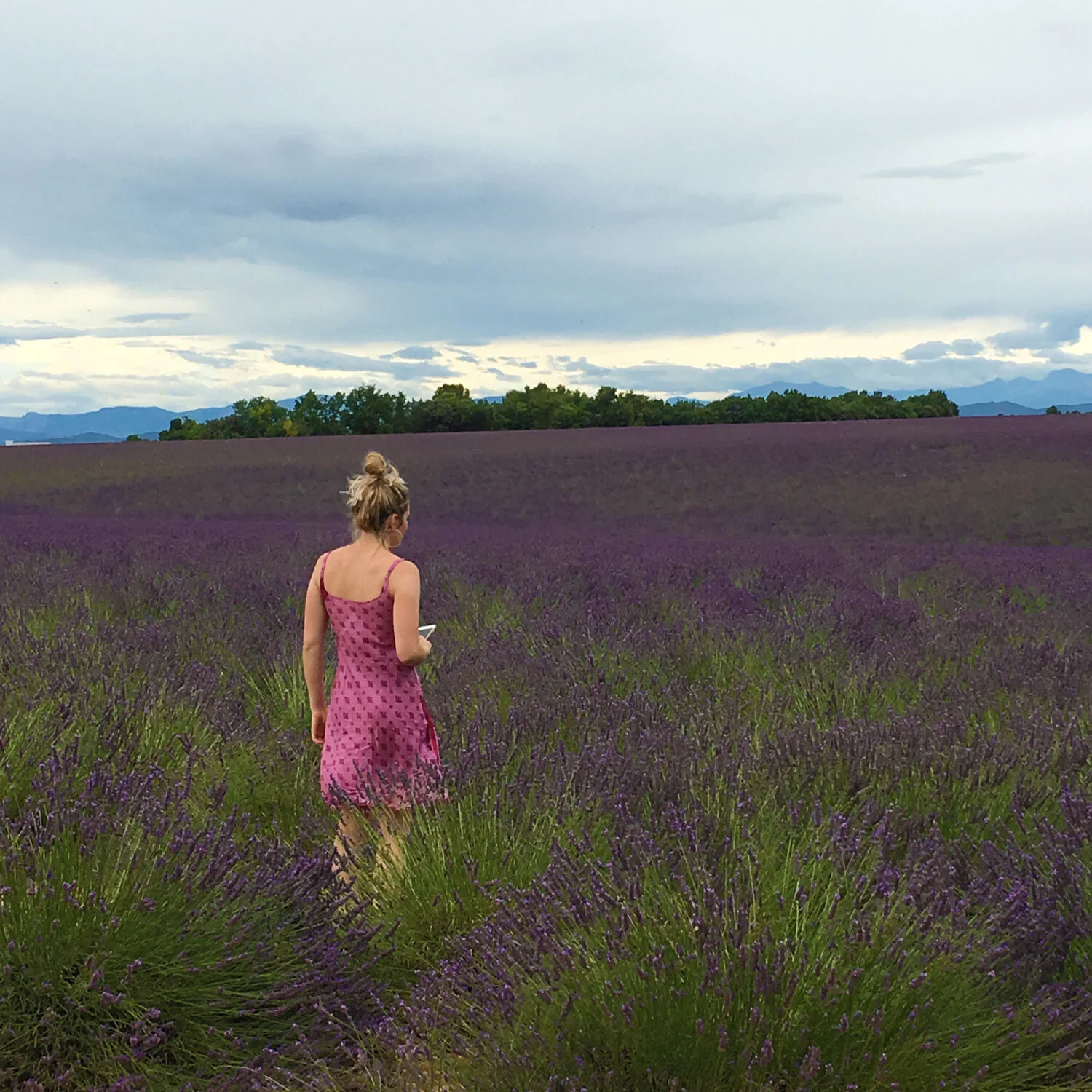 valensole-lavendr-fields-withe-errin-square.jpg