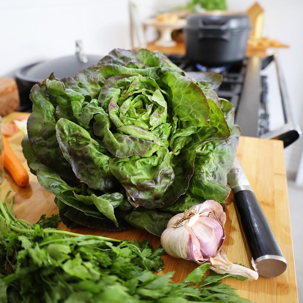 Look at the beautiful head of lettuce. In my Provence Kitchen
#provencekitchen #butterlettuce #freshfood #salad #farmersmarket