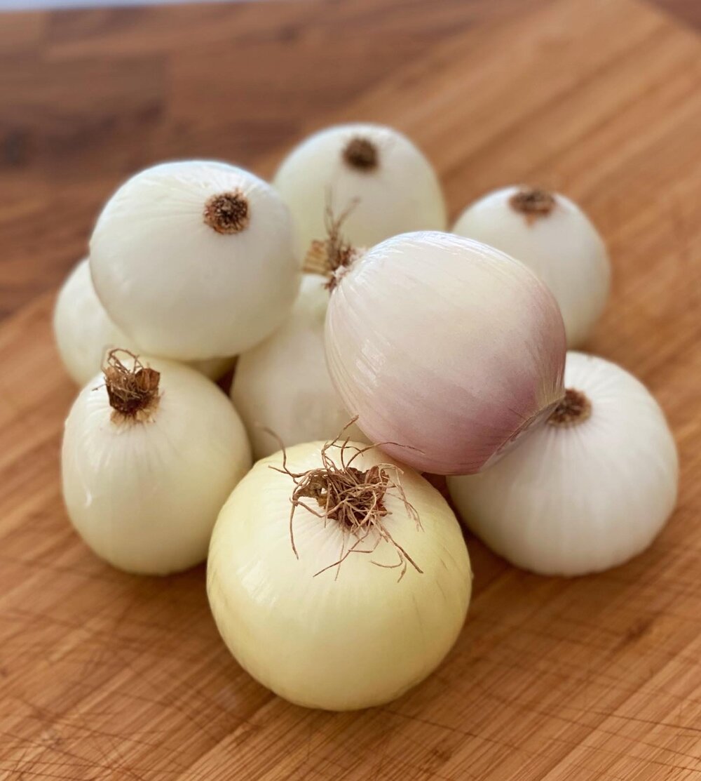 peeled-white-onions.JPG