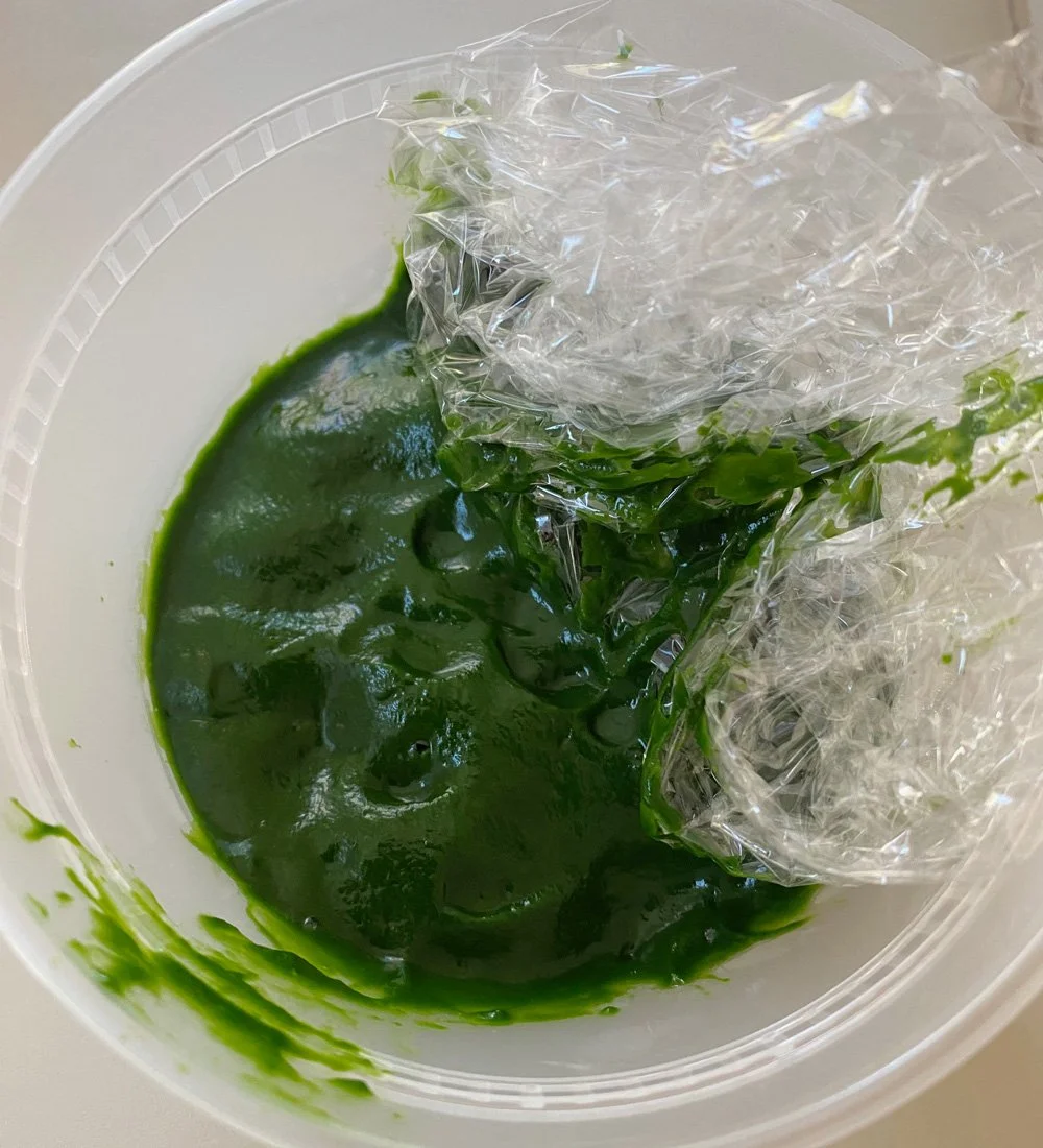Chlorophyll - my green food coloring