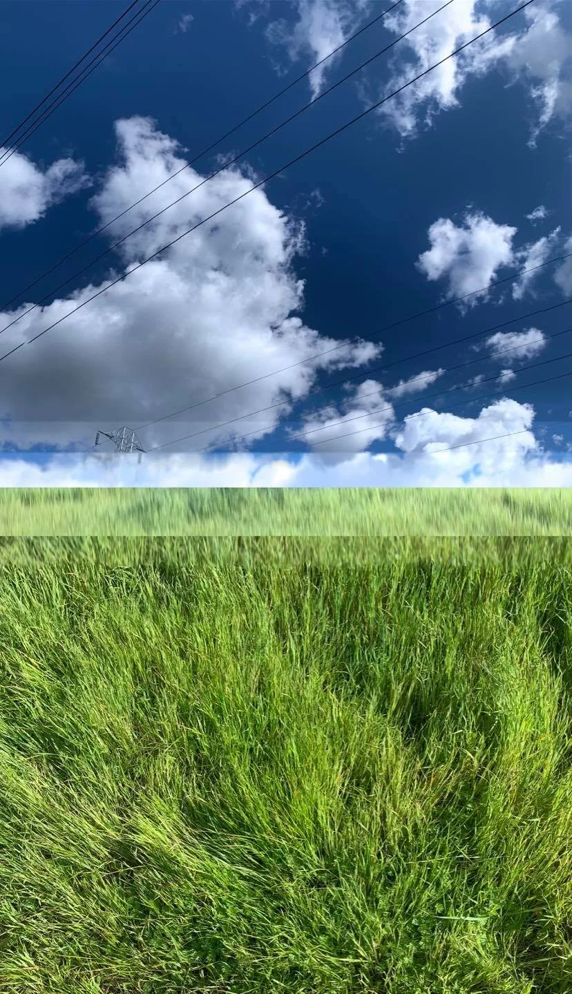 No Horizon 4.jpg