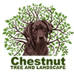 Chestnut Tree and Landscape Logo.jpg