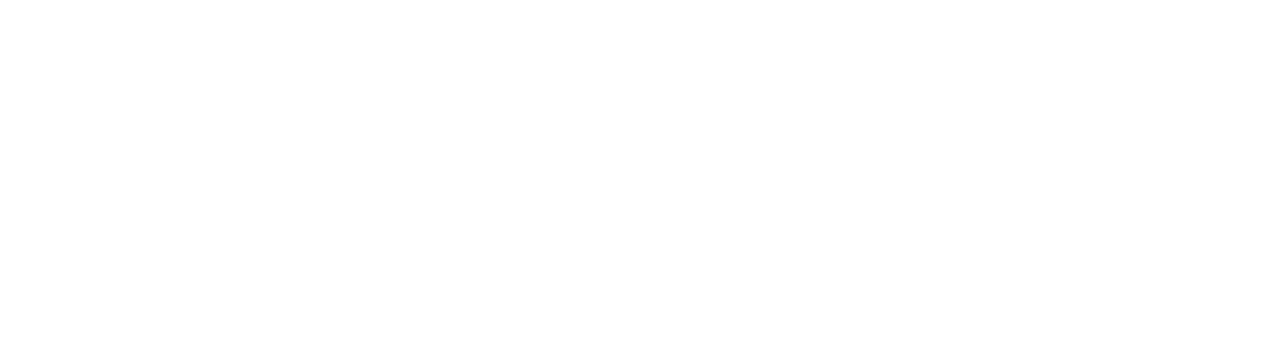 Asset 2.png