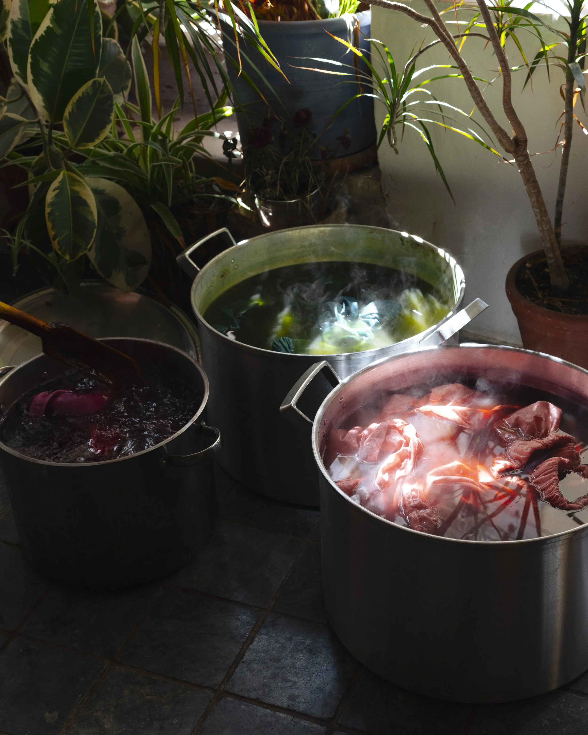 Three large pots on a dark tiled floor containing steaming hot water and ingredients, surrounded by potted plants, with sunlight illuminating parts of the scene.