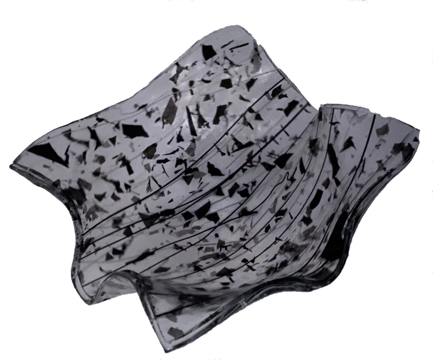 BW StarBowl.jpg
