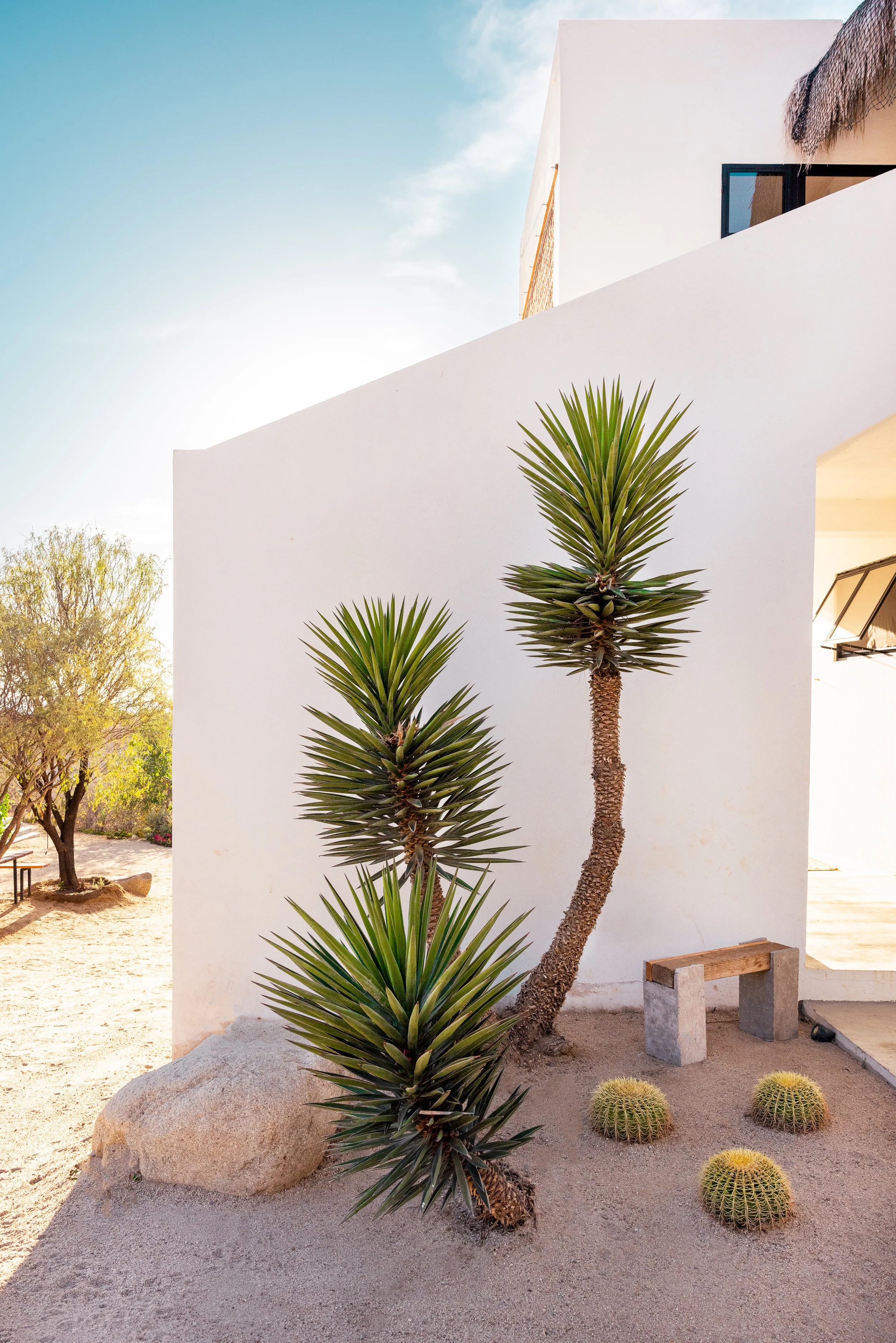 el-campo-bcs-el-pescadero-baja-5774.jpg