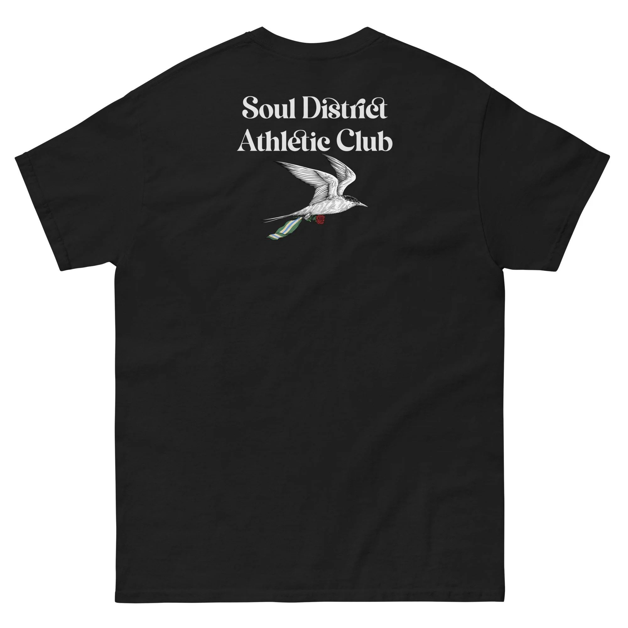 unisex-classic-tee-black-back-684a4e5c27ede.jpg