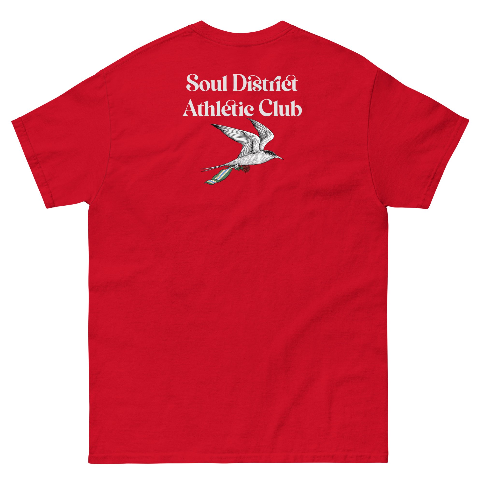 unisex-classic-tee-red-back-684a4e5c2ac7a.jpg