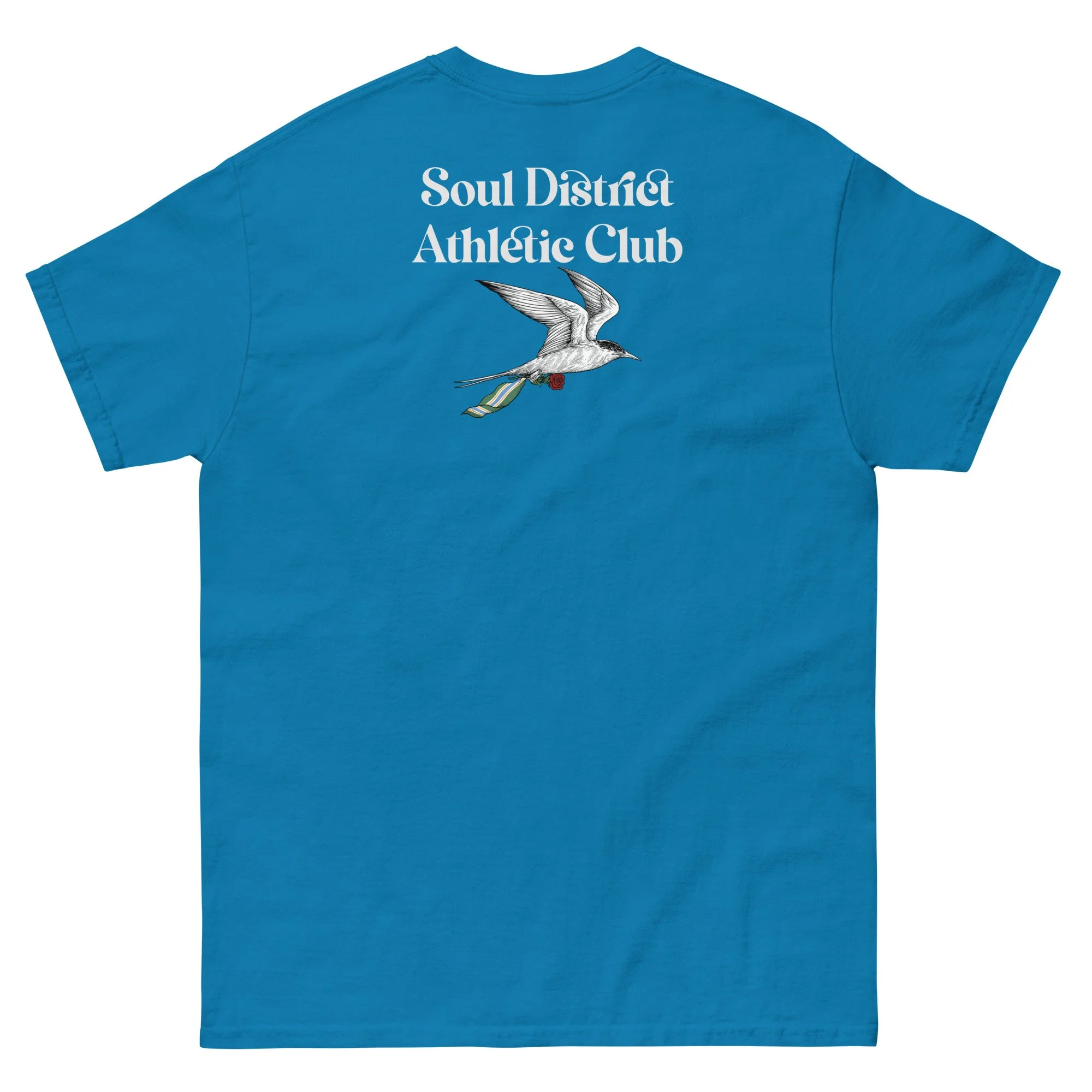 unisex-classic-tee-sapphire-back-684a4e5c382a5.jpg