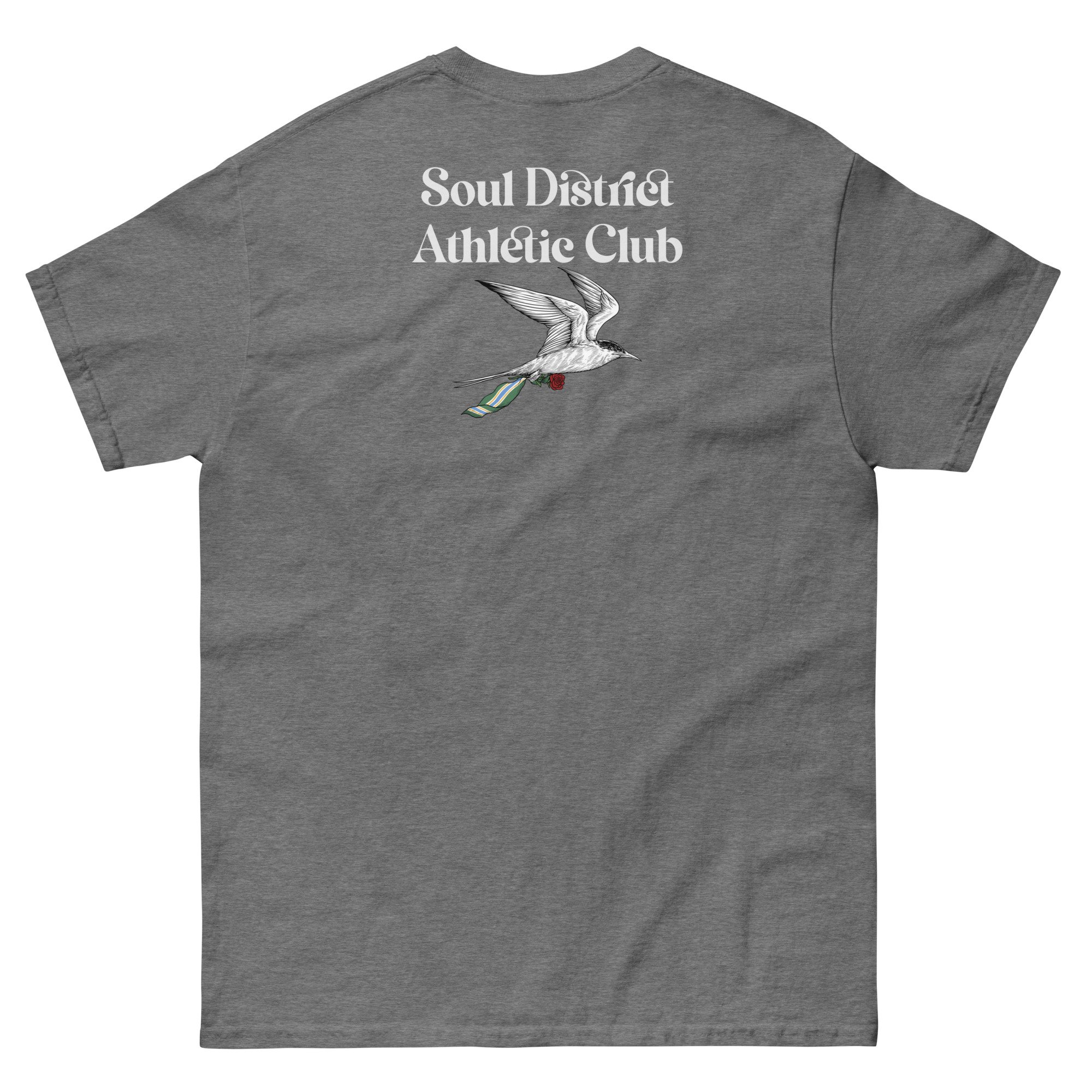 unisex-classic-tee-graphite-heather-back-684a4e5c52194.jpg