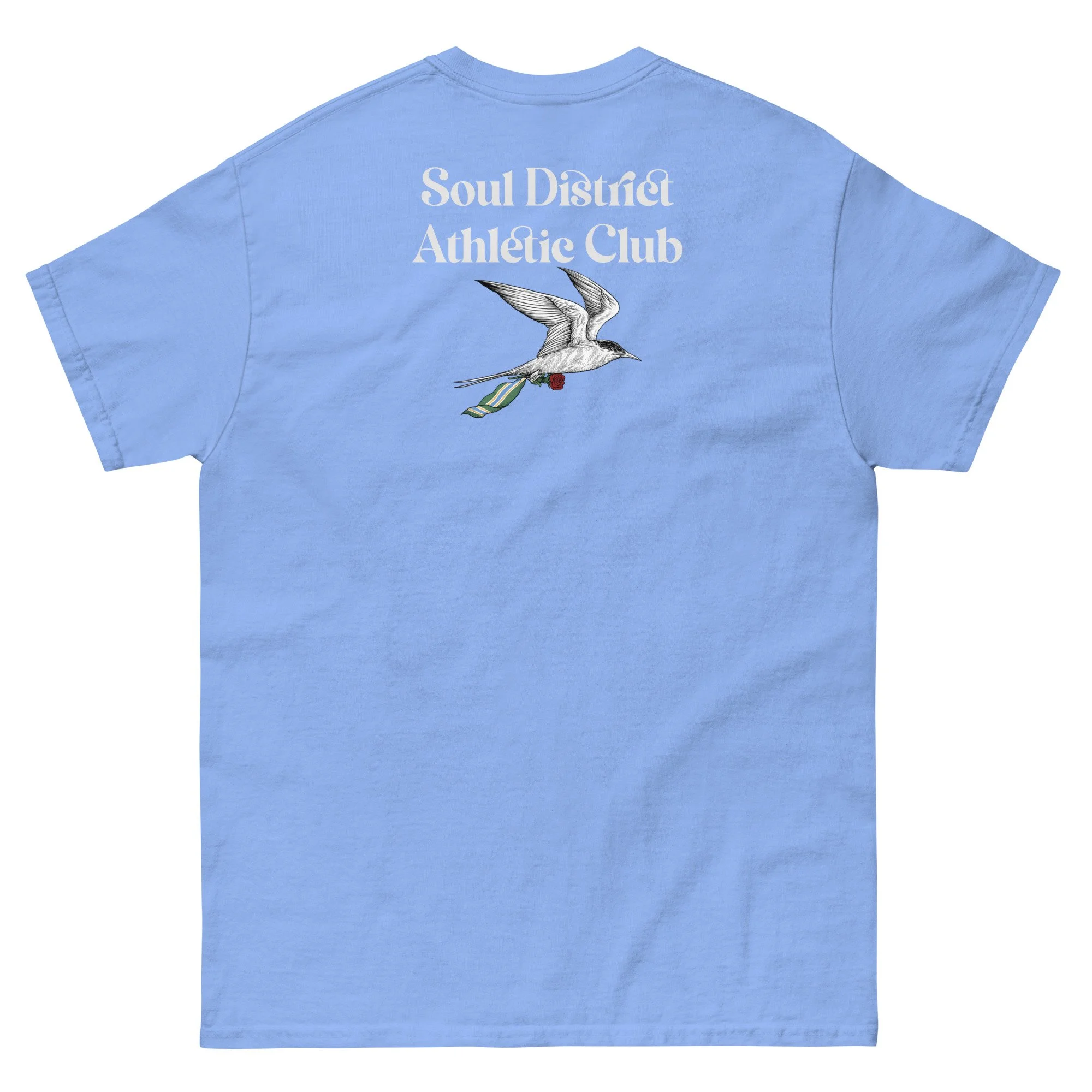 unisex-classic-tee-carolina-blue-back-684a4e5c7575e.jpg
