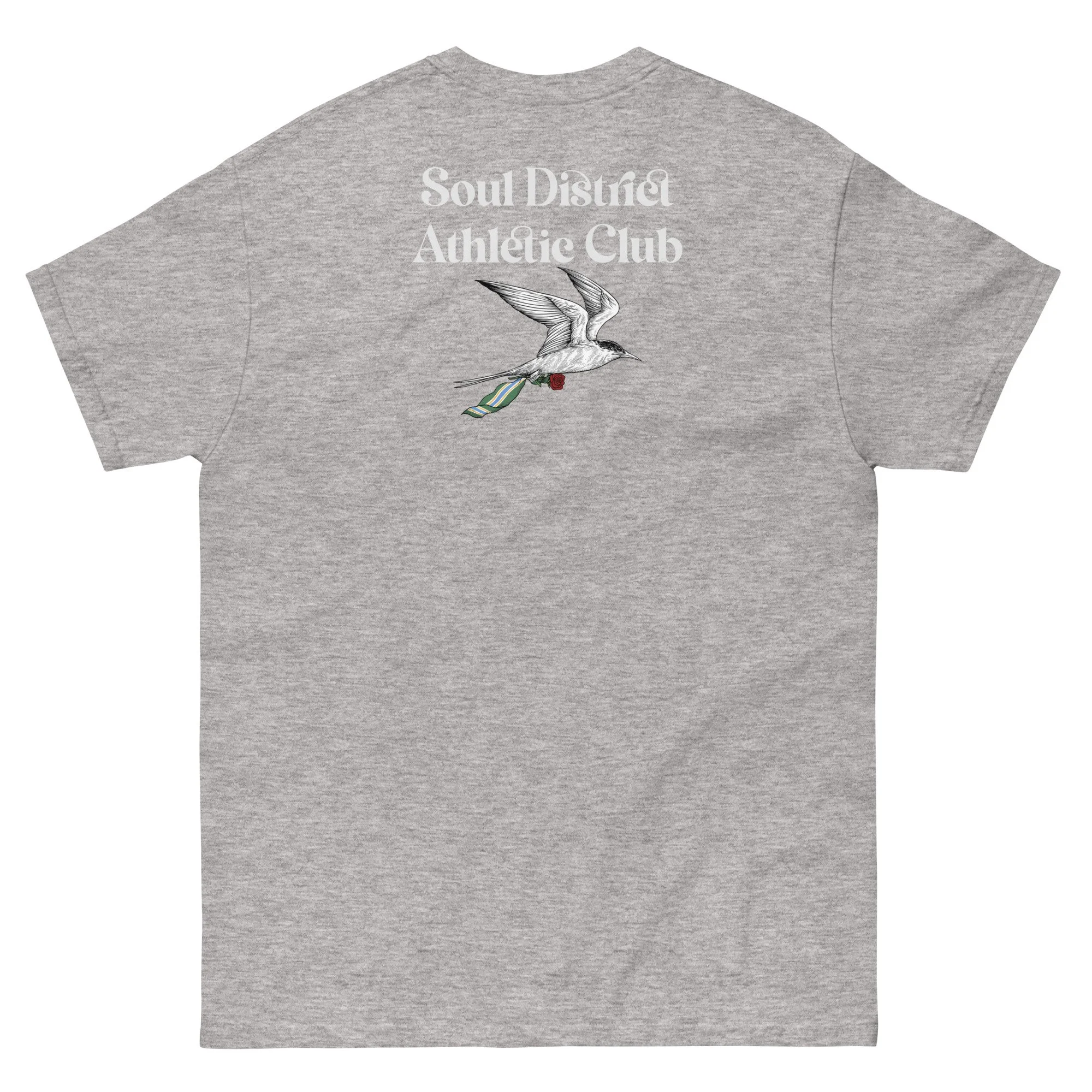 unisex-classic-tee-sport-grey-back-684a4e5c879de.jpg