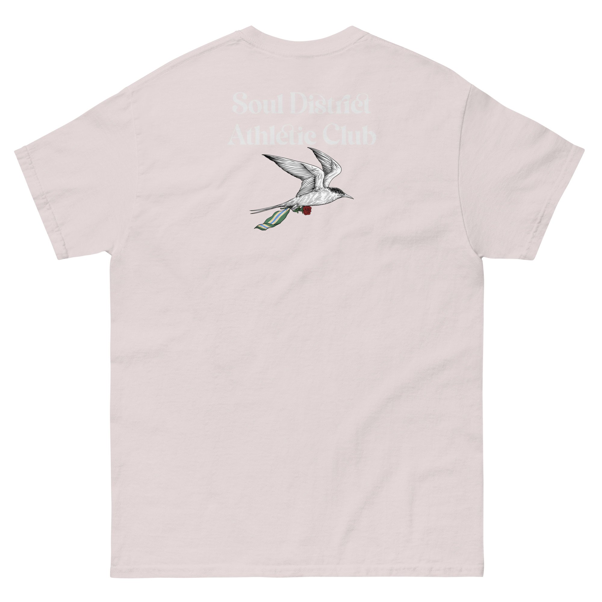 unisex-classic-tee-ice-grey-back-684a4e5c9b92d.jpg