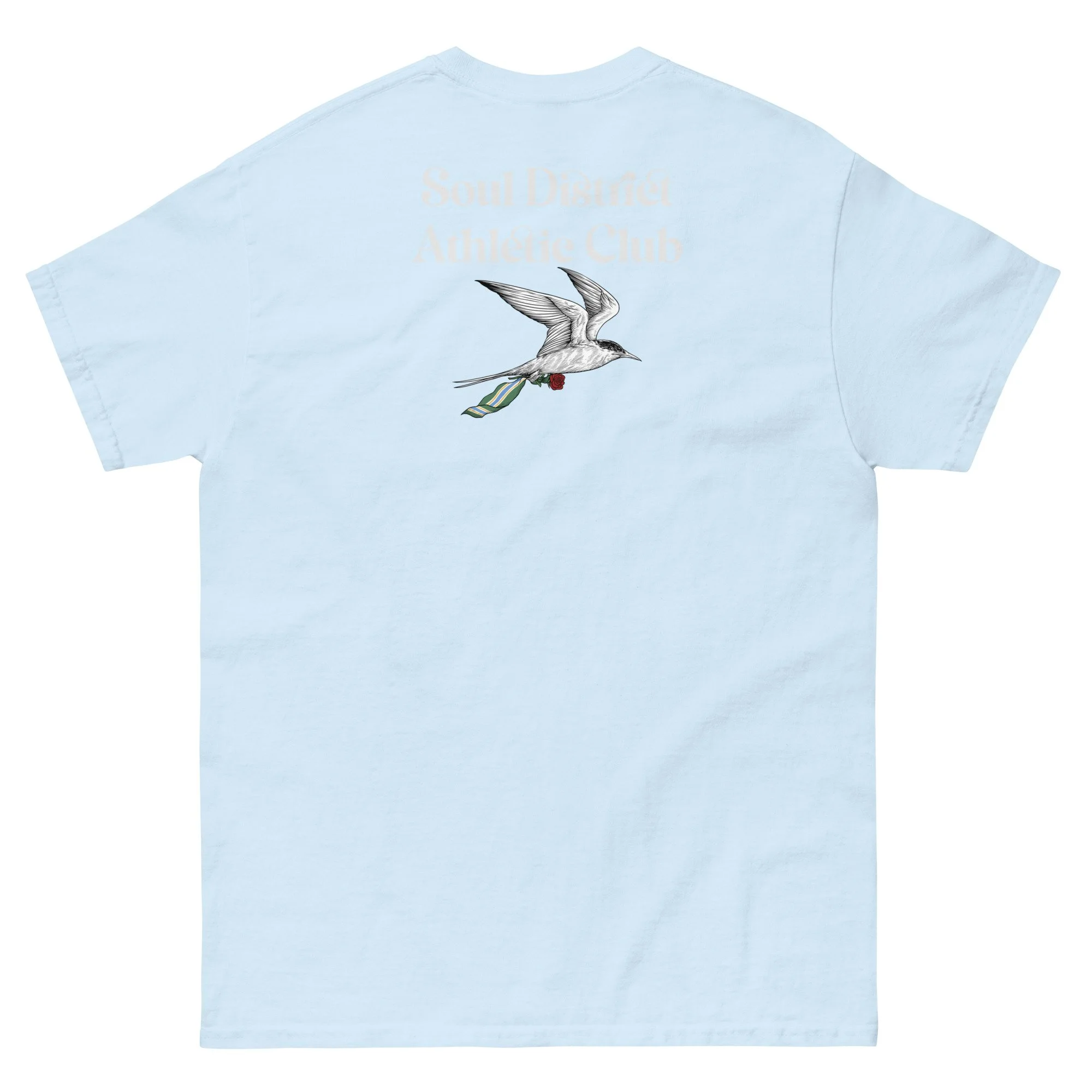 unisex-classic-tee-light-blue-back-684a4e5cb0f27.jpg