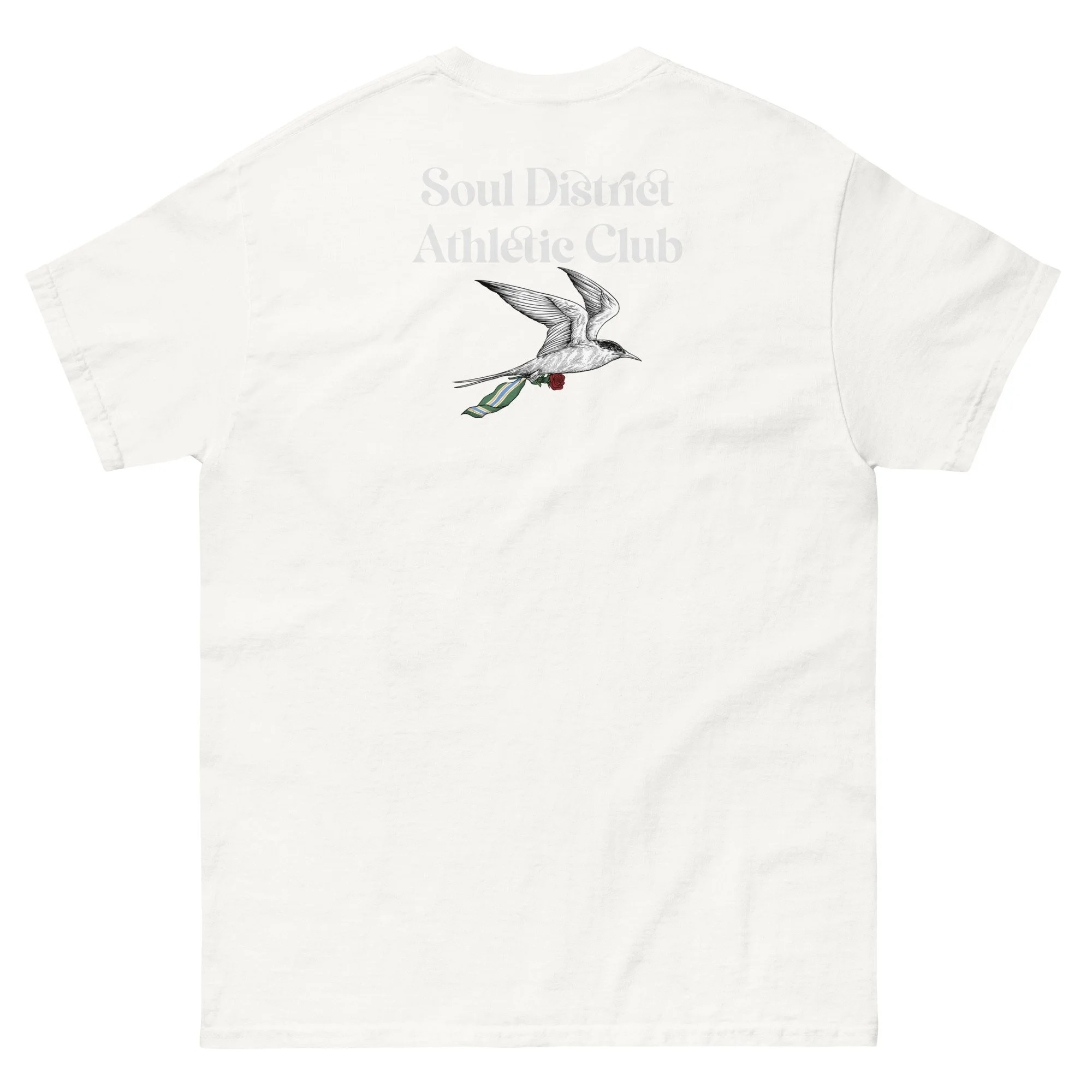 unisex-classic-tee-white-back-684a4e5cd8fc6.jpg