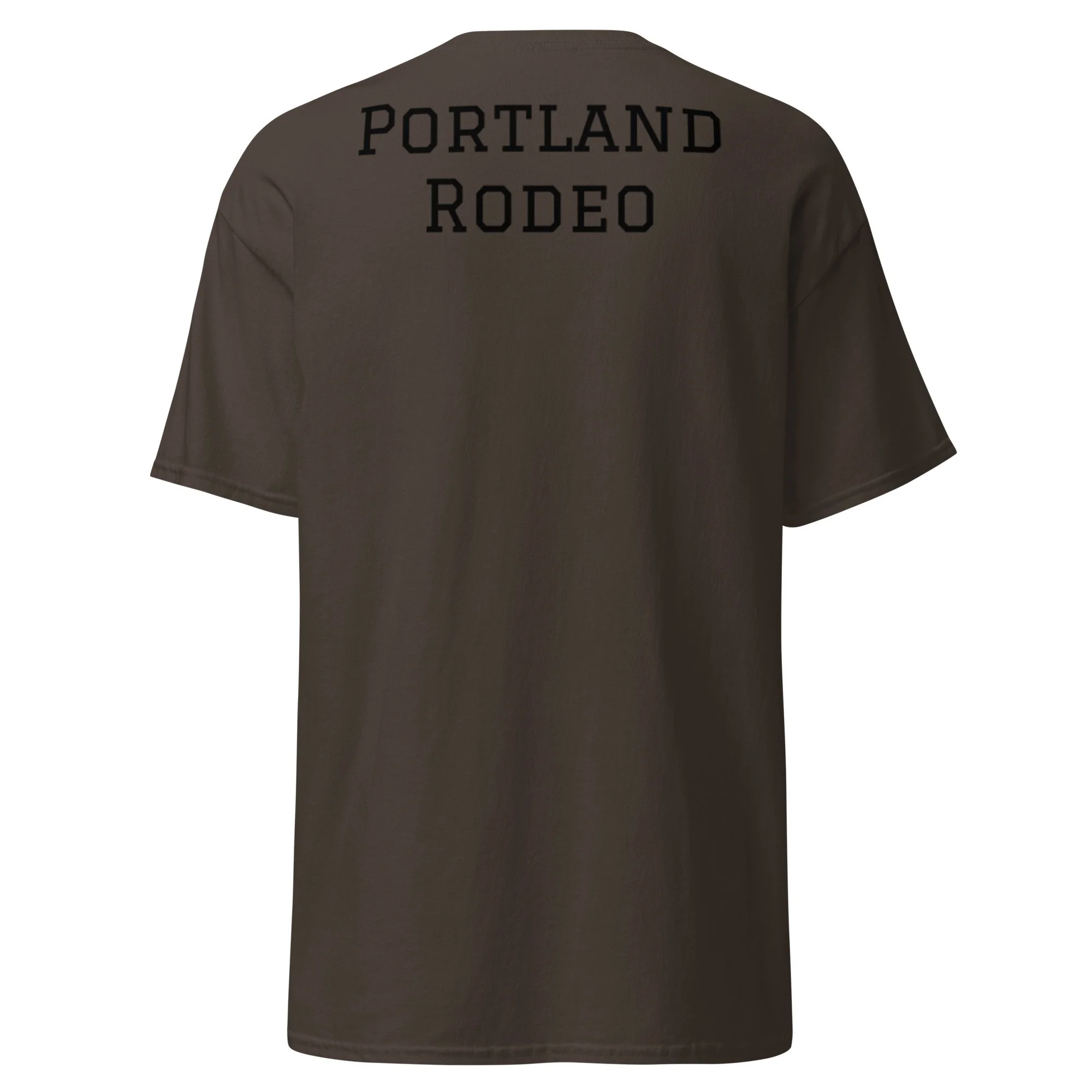 unisex-classic-tee-dark-chocolate-back-6a38c429573aa.jpg