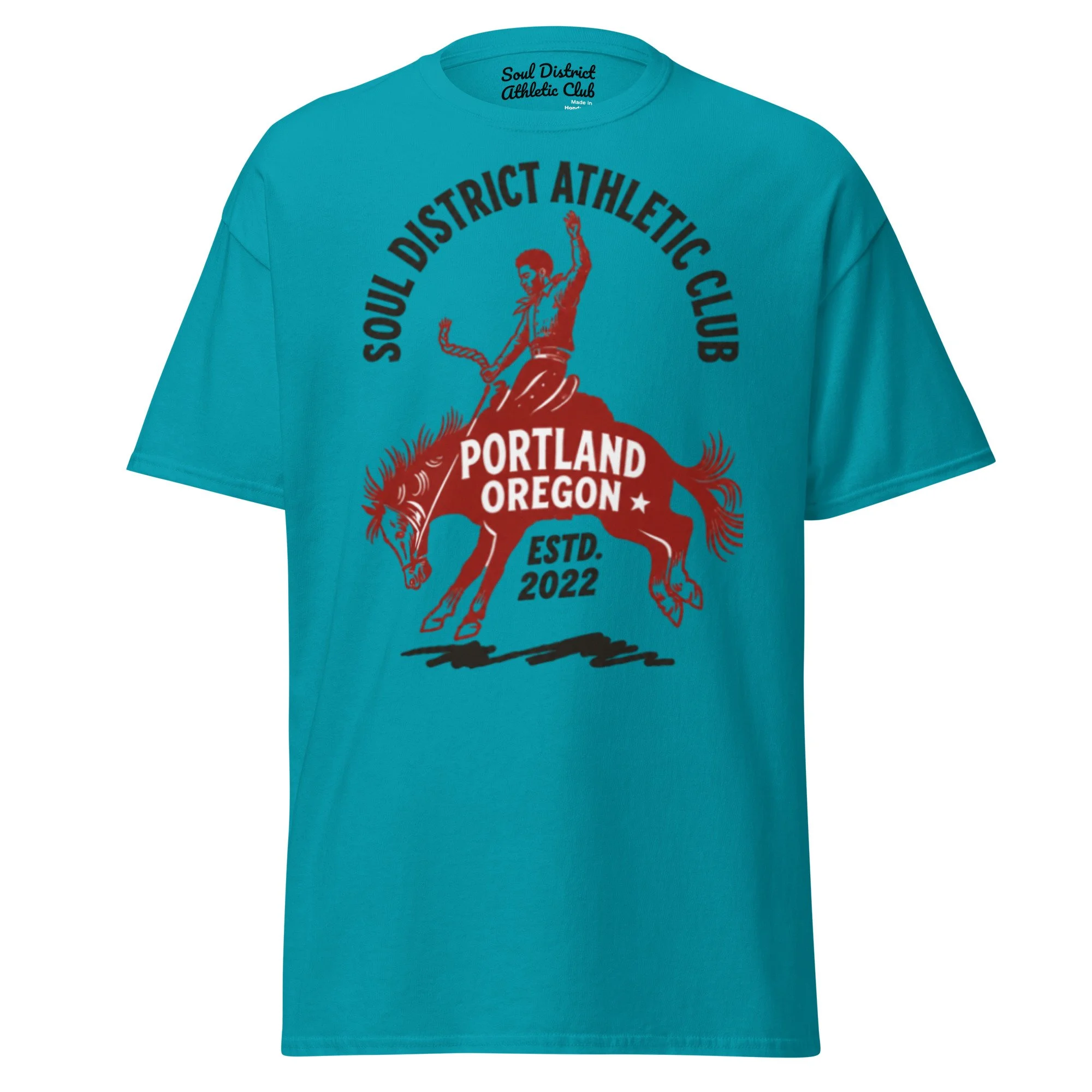 unisex-classic-tee-tropical-blue-front-6a38c429588c7.jpg