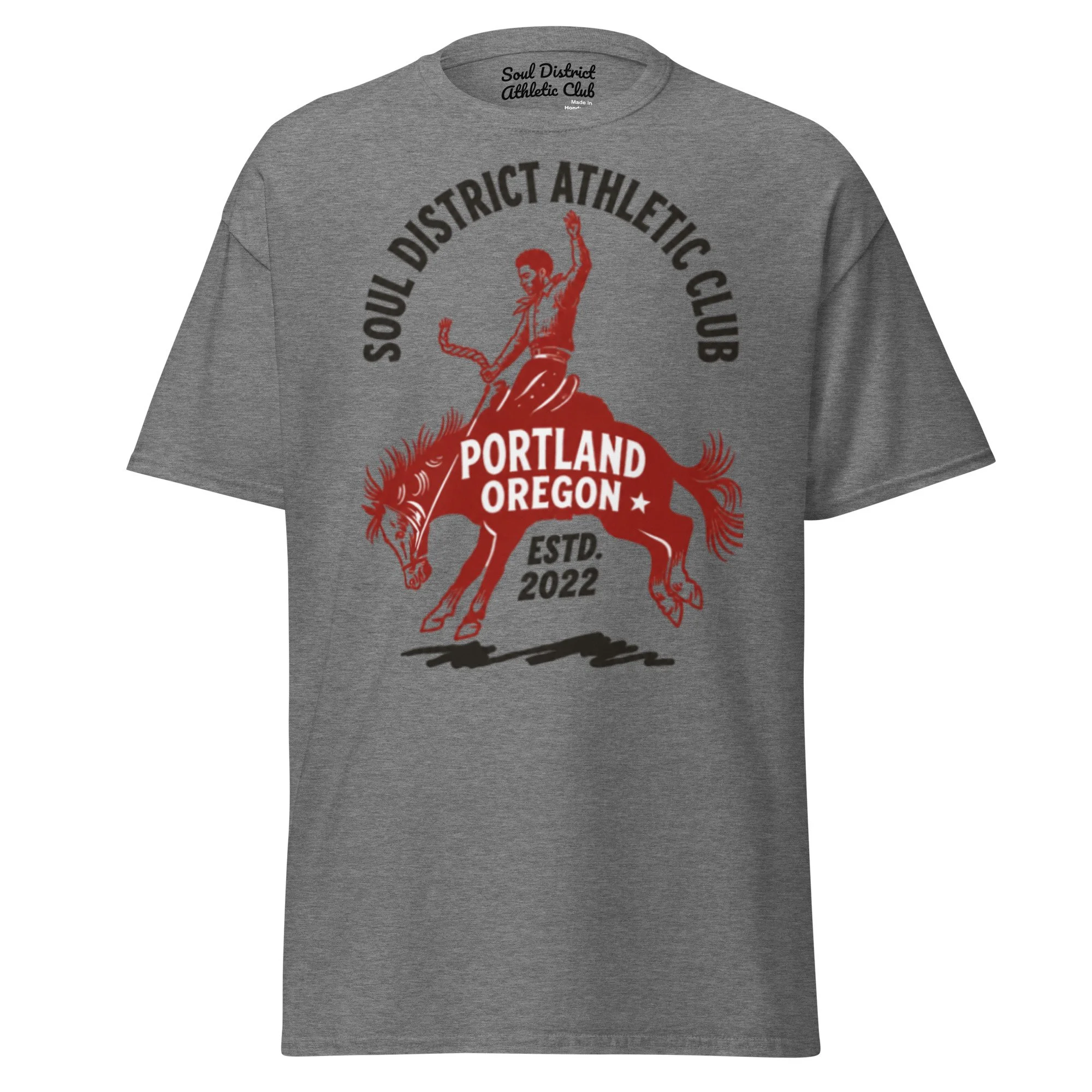 unisex-classic-tee-graphite-heather-front-6a38c4295bc2a.jpg
