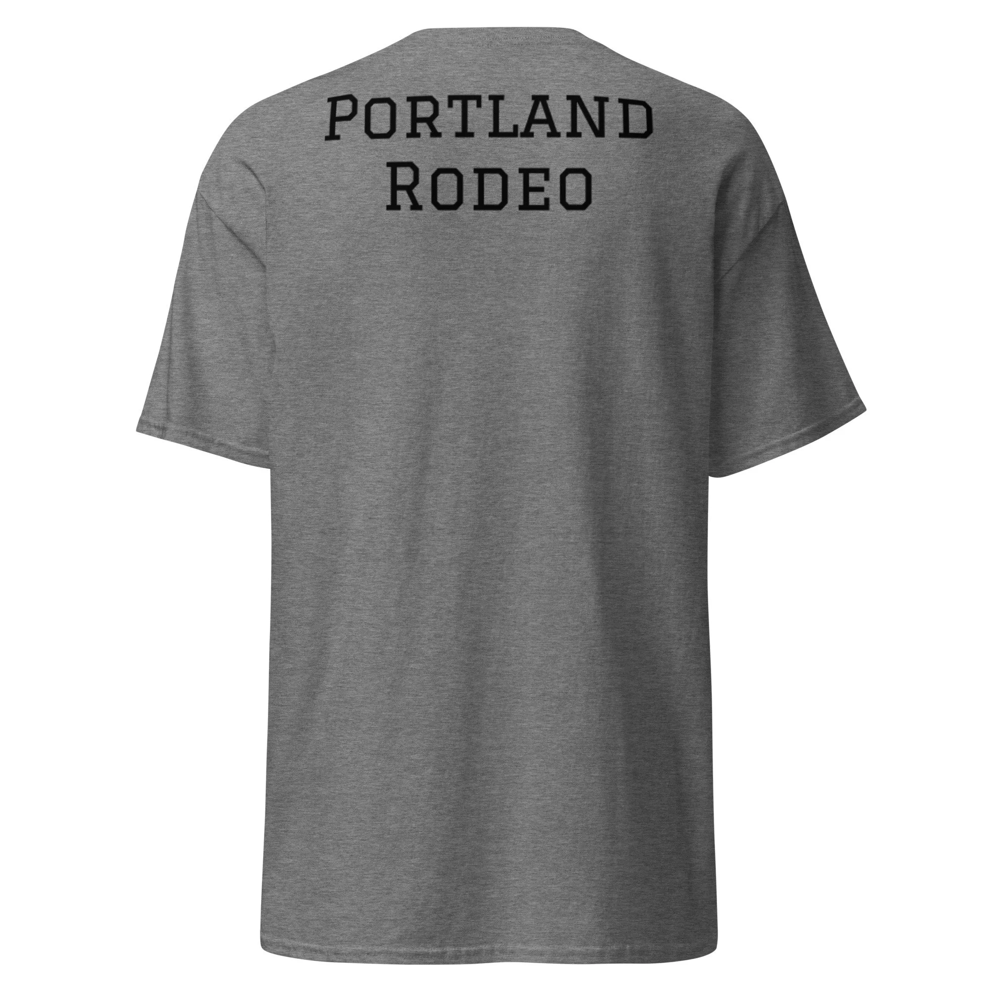 unisex-classic-tee-graphite-heather-back-6a38c4295d2d3.jpg