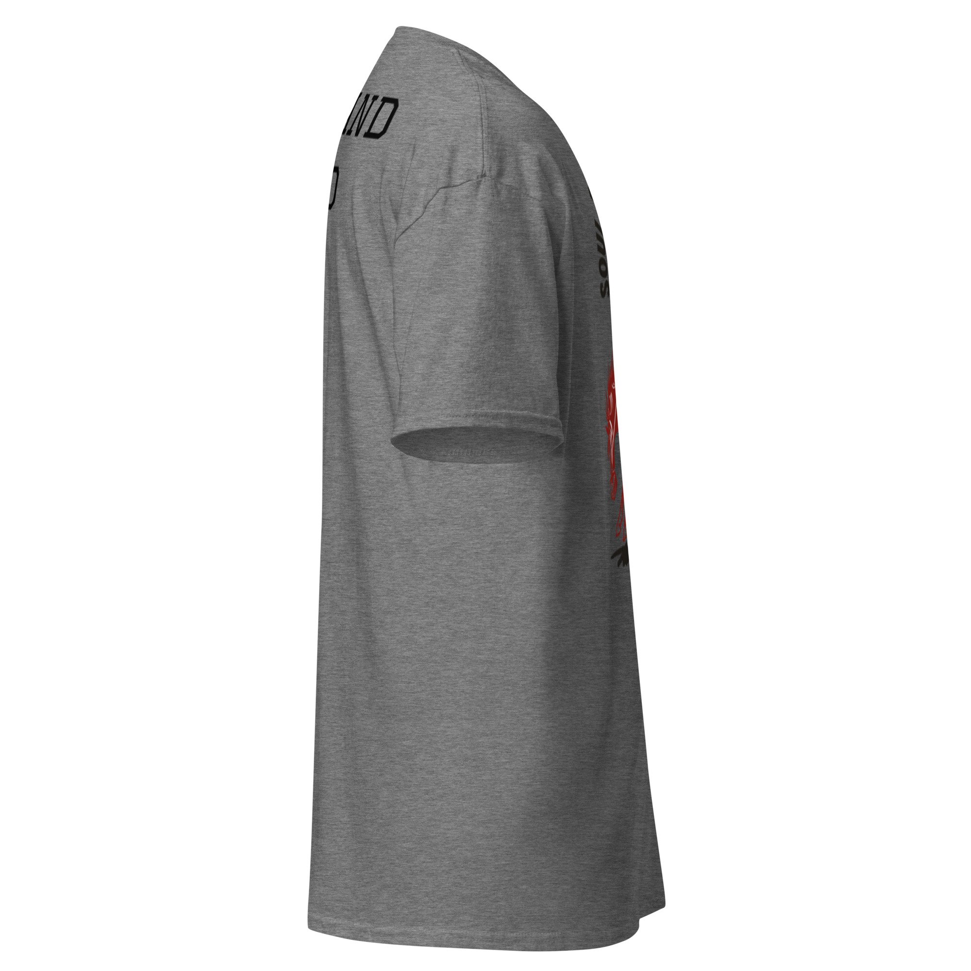 unisex-classic-tee-graphite-heather-right-6a38c4295e7f0.jpg