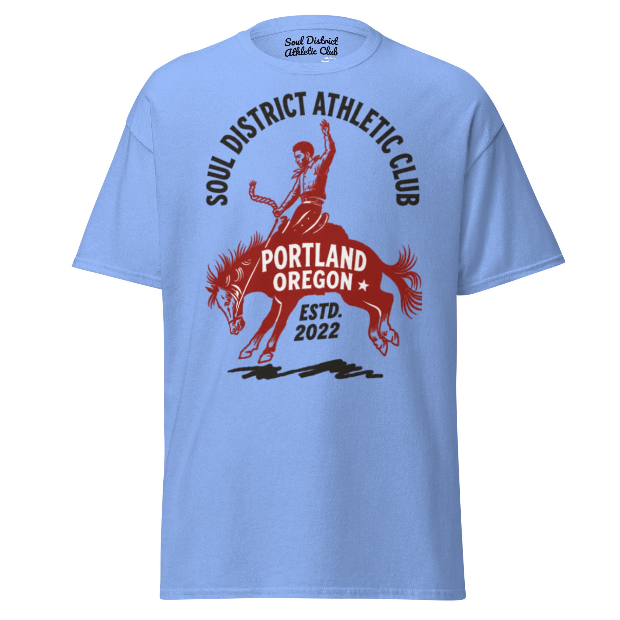 unisex-classic-tee-carolina-blue-front-6a38c42967ed1.jpg