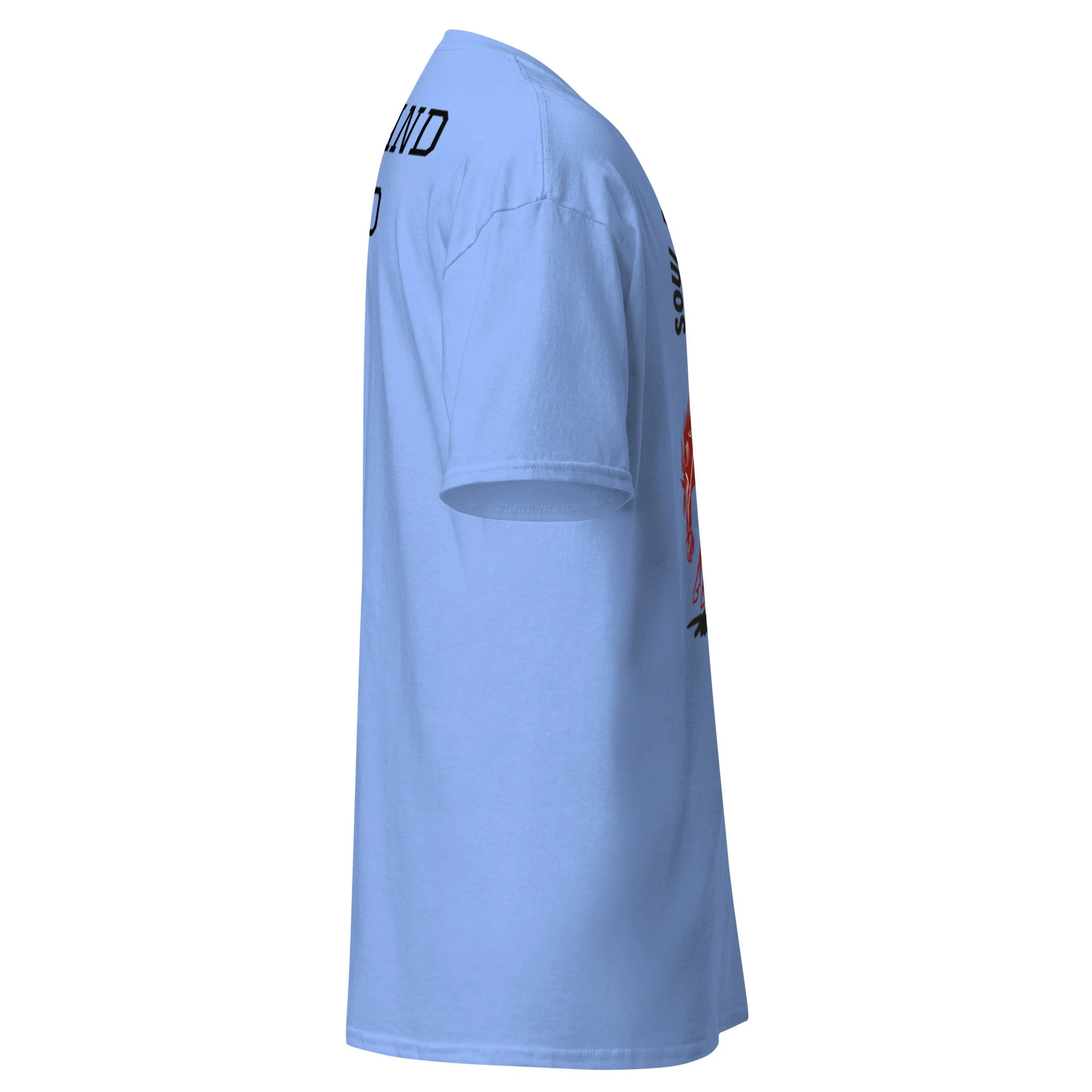 unisex-classic-tee-carolina-blue-right-6a38c4296e124.jpg