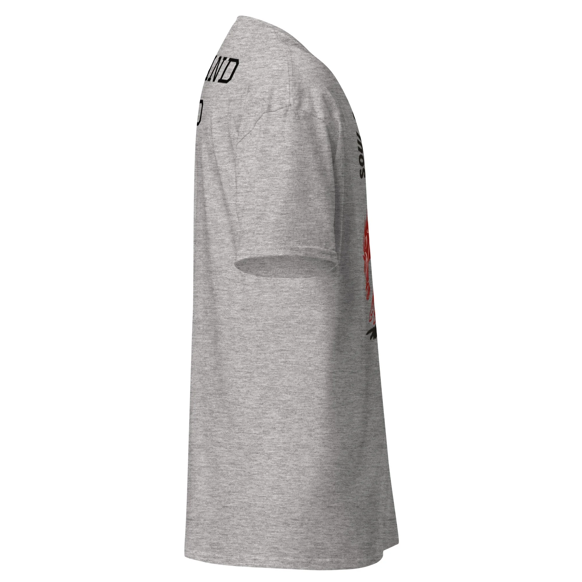 unisex-classic-tee-sport-grey-right-6a38c42976ccc.jpg