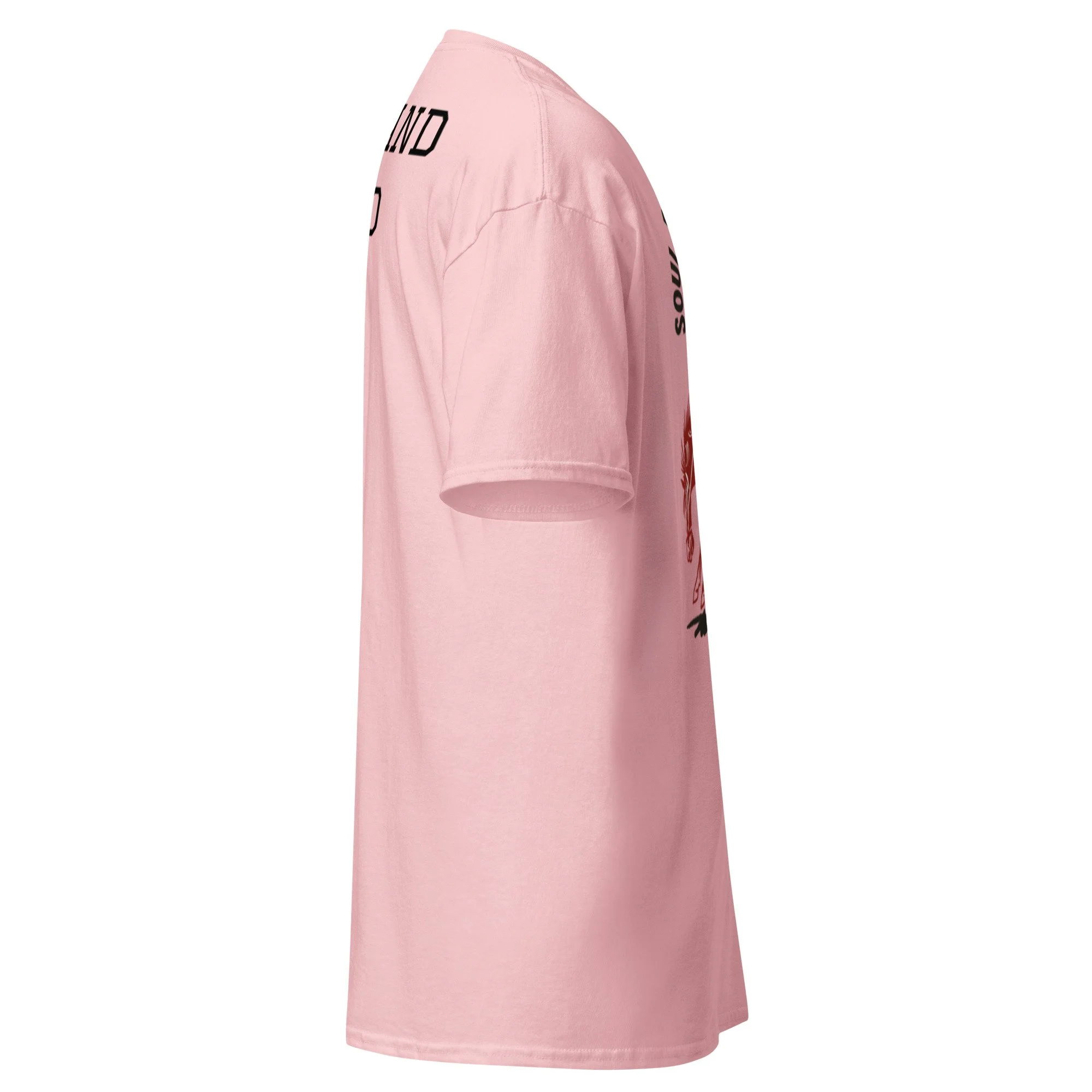 unisex-classic-tee-light-pink-right-6a38c42980dde.jpg