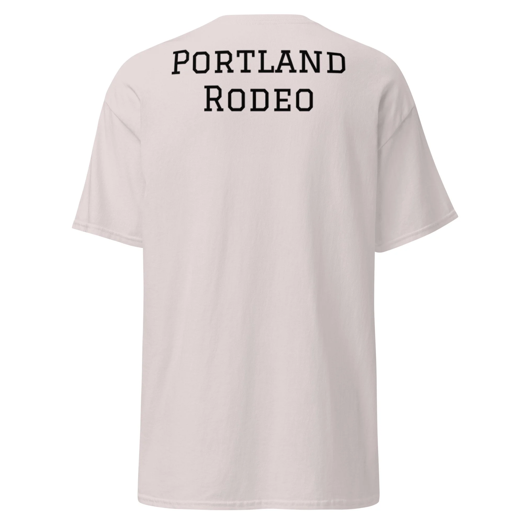 unisex-classic-tee-ice-grey-back-6a38c42986d05.jpg