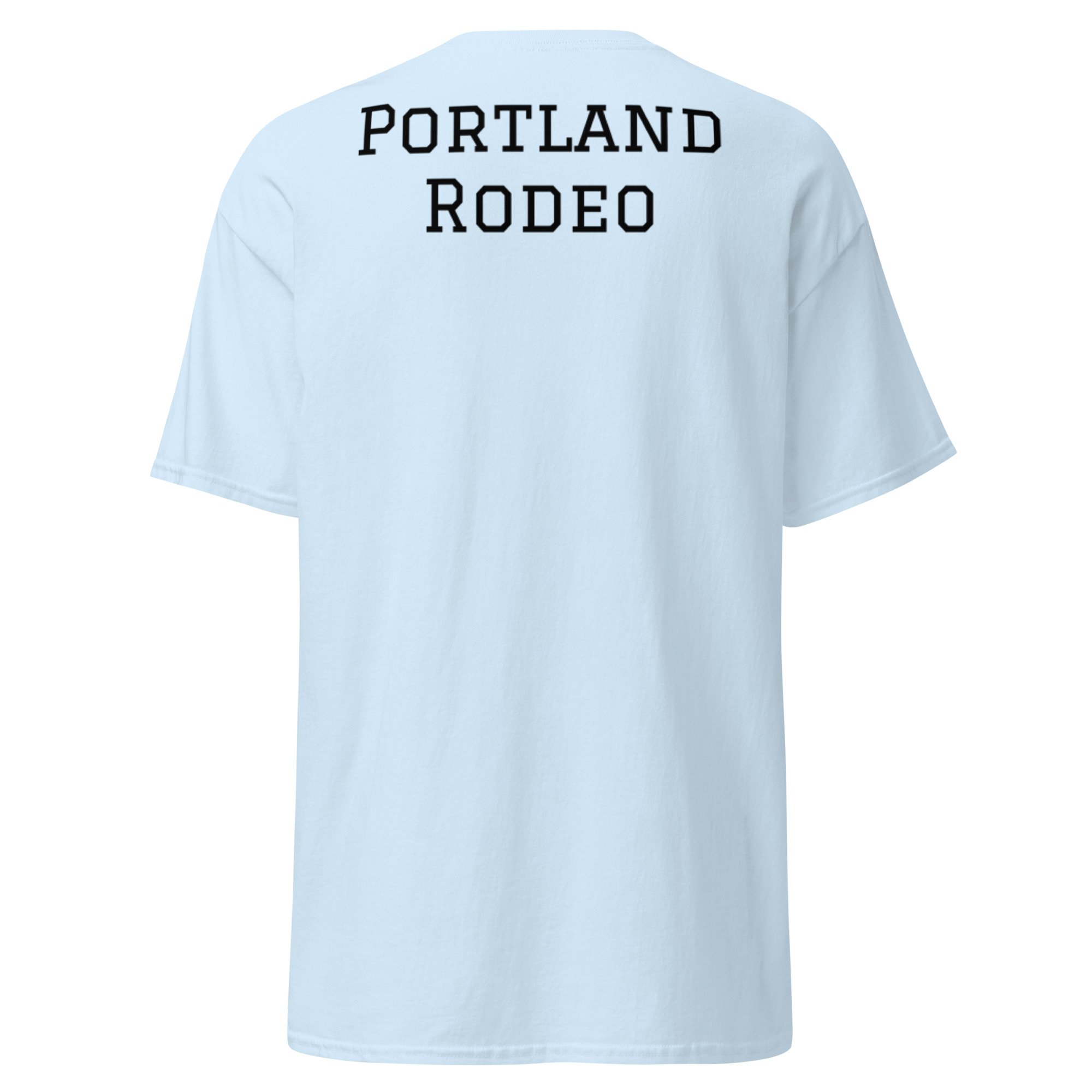 unisex-classic-tee-light-blue-back-6a38c42998fe2.jpg