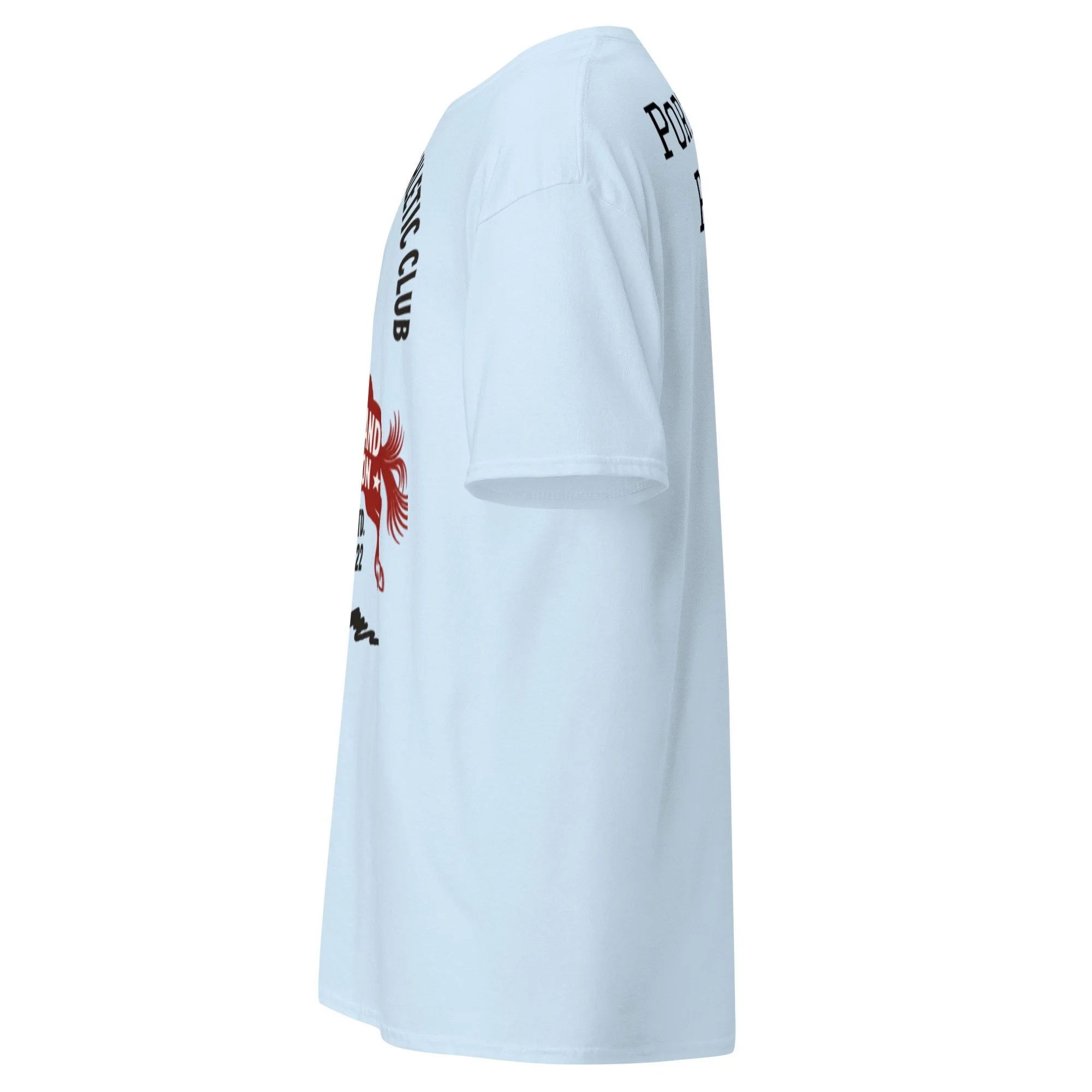 unisex-classic-tee-light-blue-left-6a38c4299de04.jpg