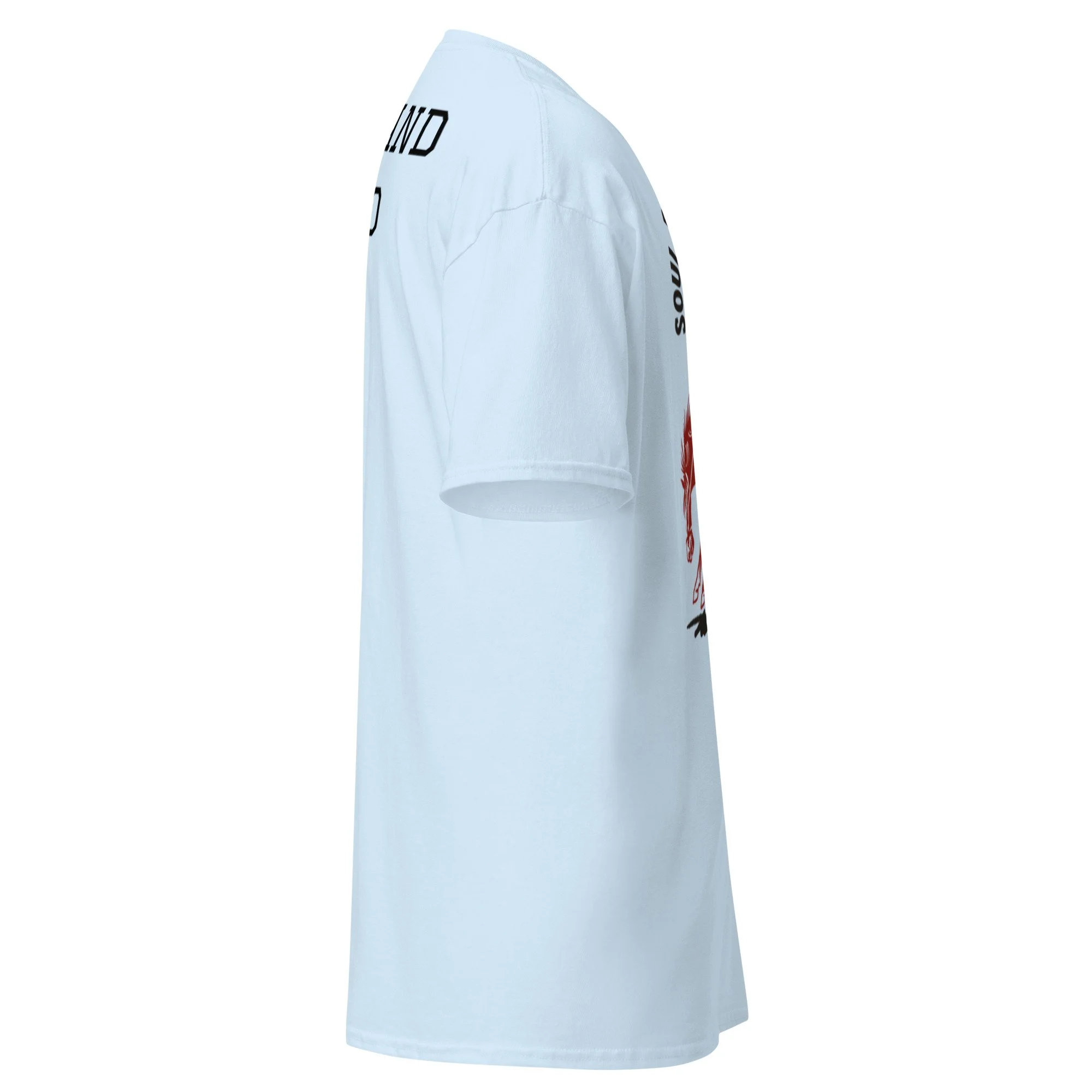 unisex-classic-tee-light-blue-right-6a38c429a334f.jpg