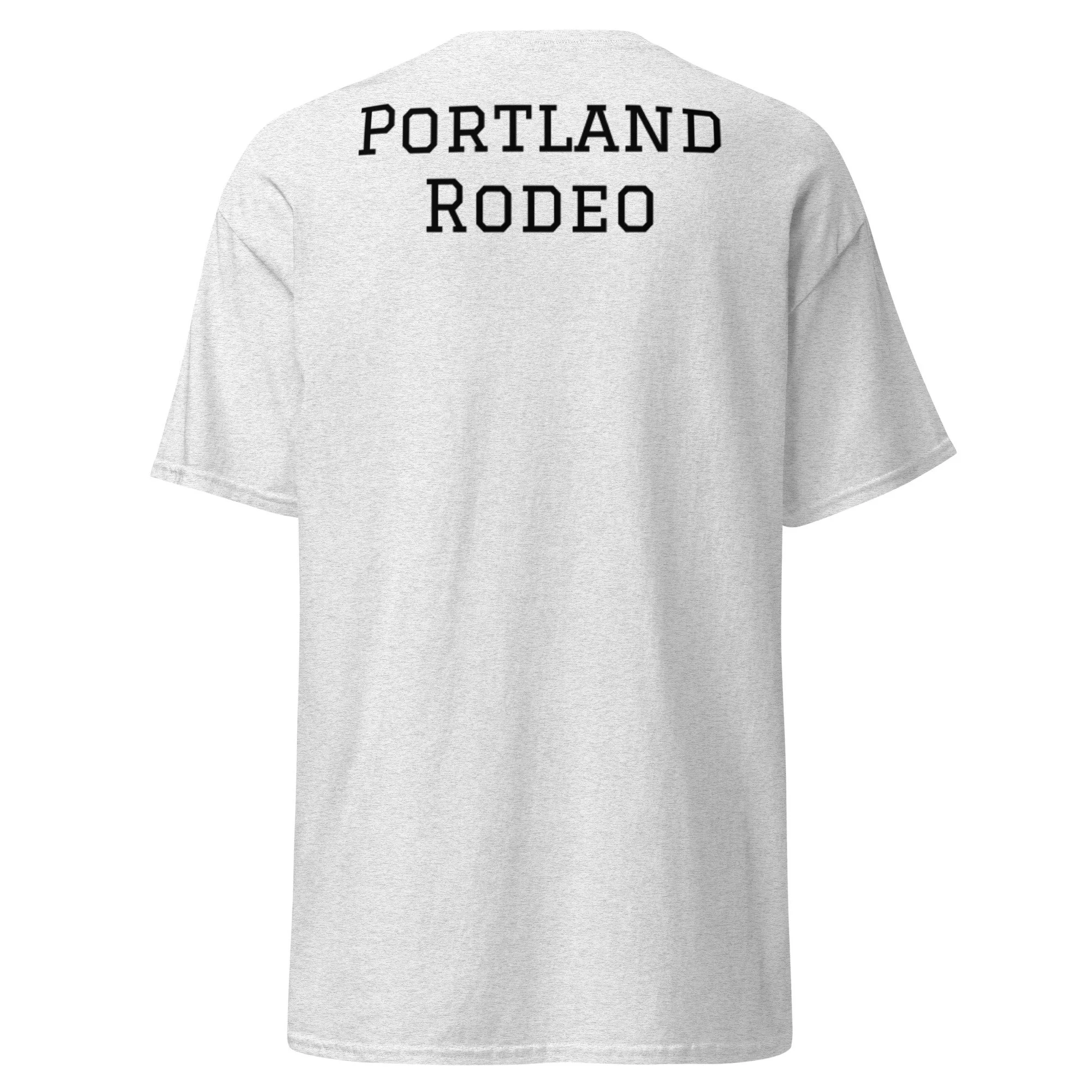 unisex-classic-tee-ash-back-6a38c429ac8ae.jpg