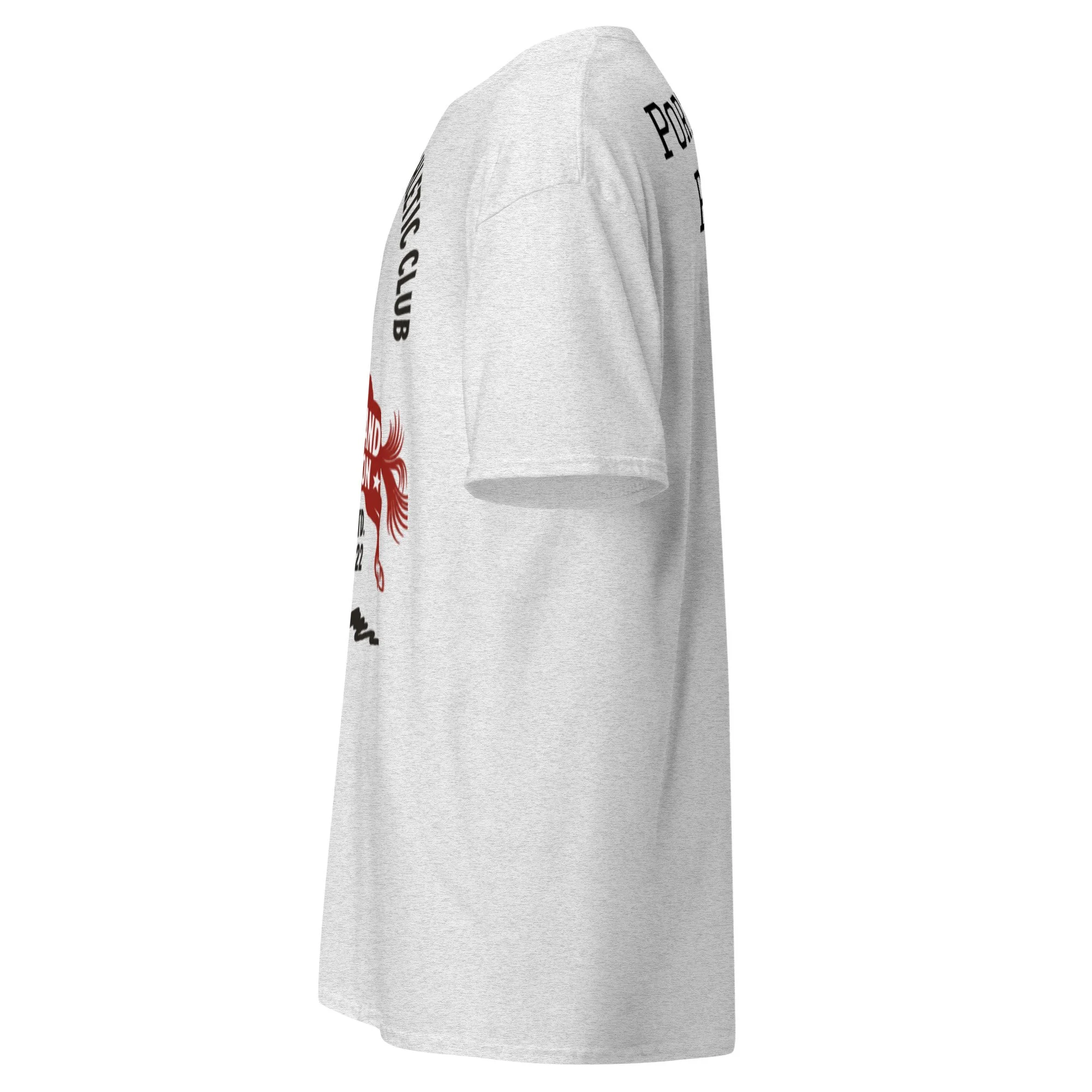 unisex-classic-tee-ash-left-6a38c429b216e.jpg