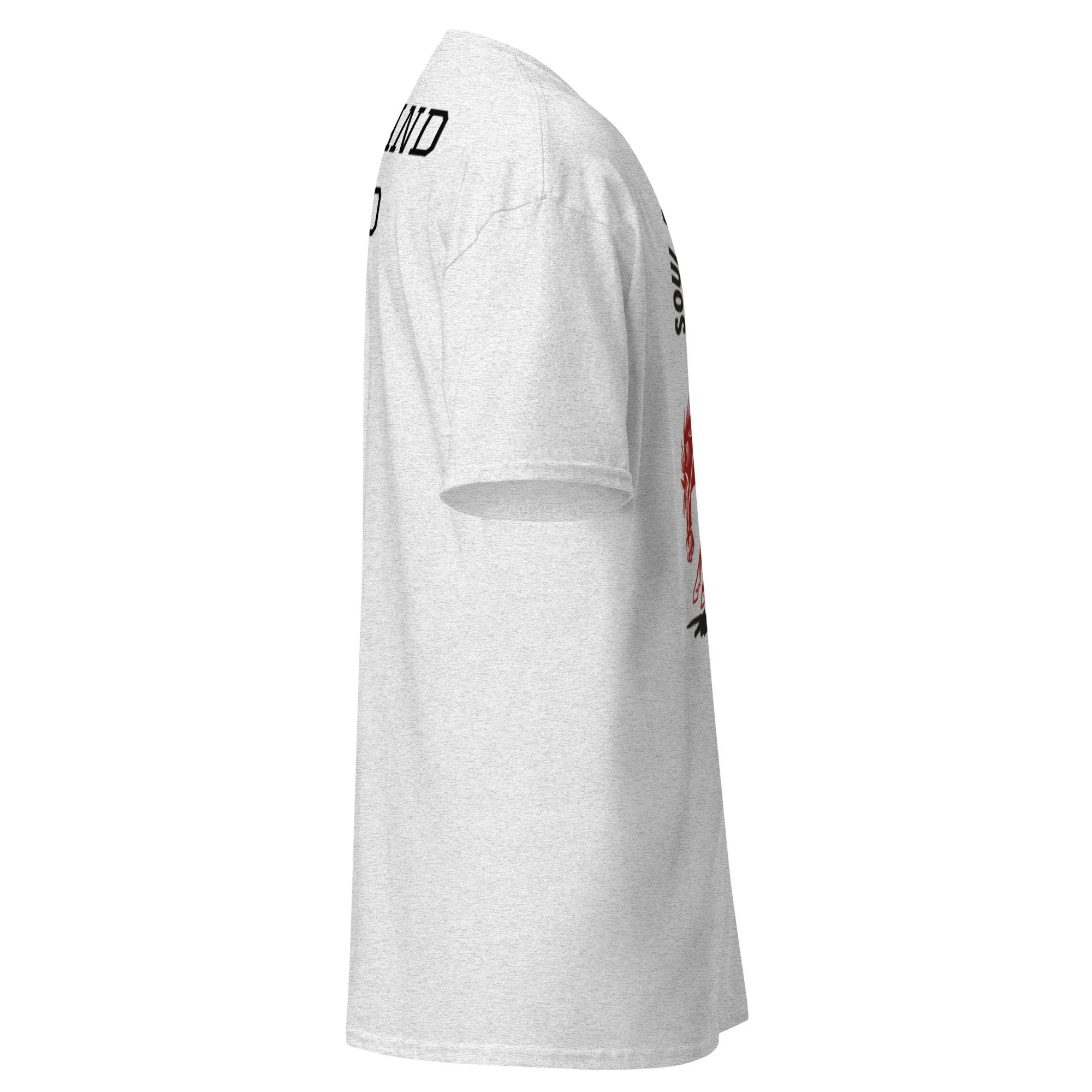 unisex-classic-tee-ash-right-6a38c429b7969.jpg