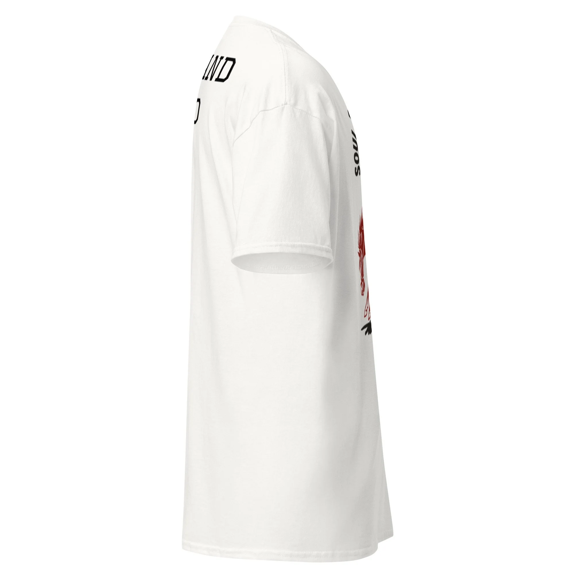 unisex-classic-tee-white-right-6a38c429cefd8.jpg