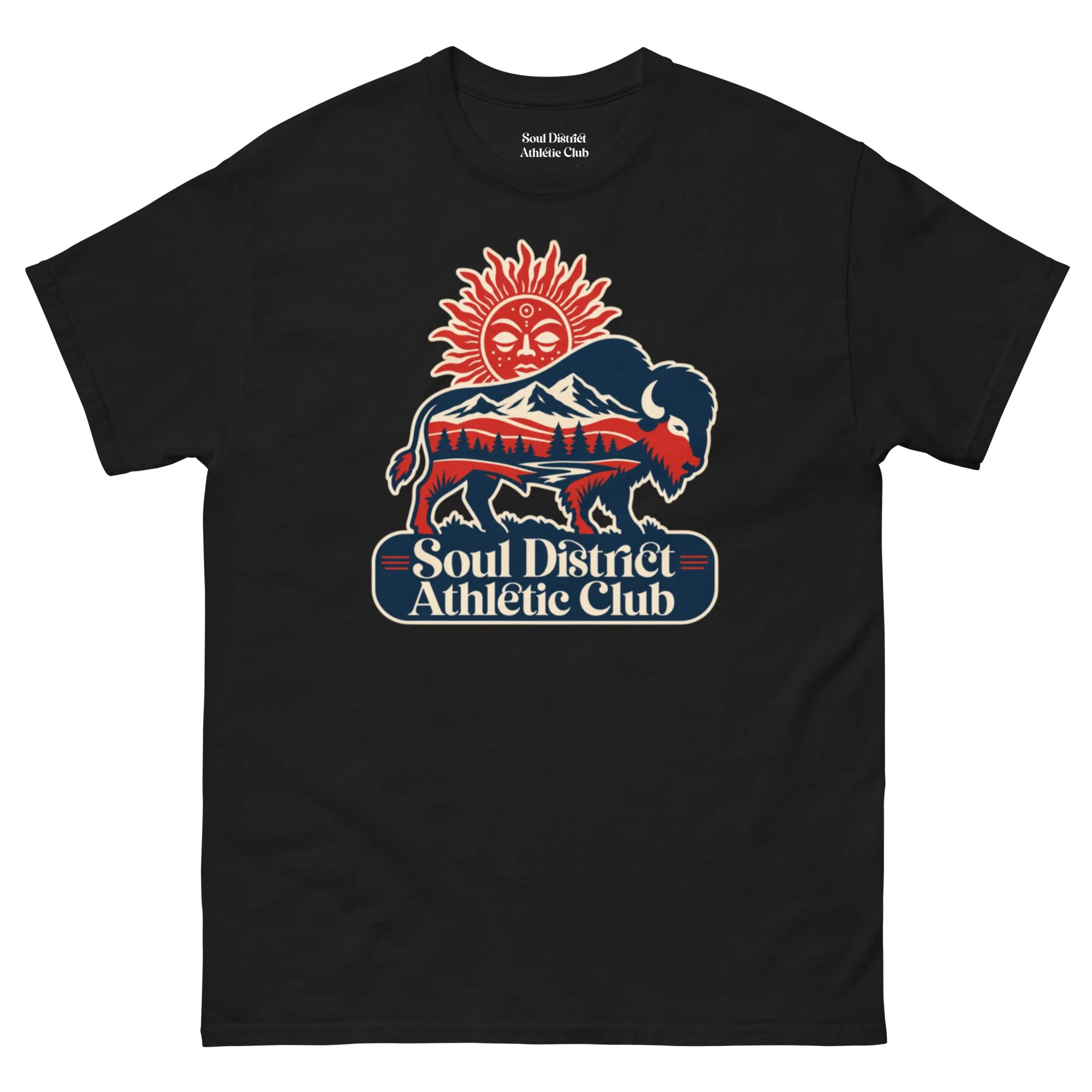 unisex-classic-tee-black-front-6a38c4b5ea99c.jpg