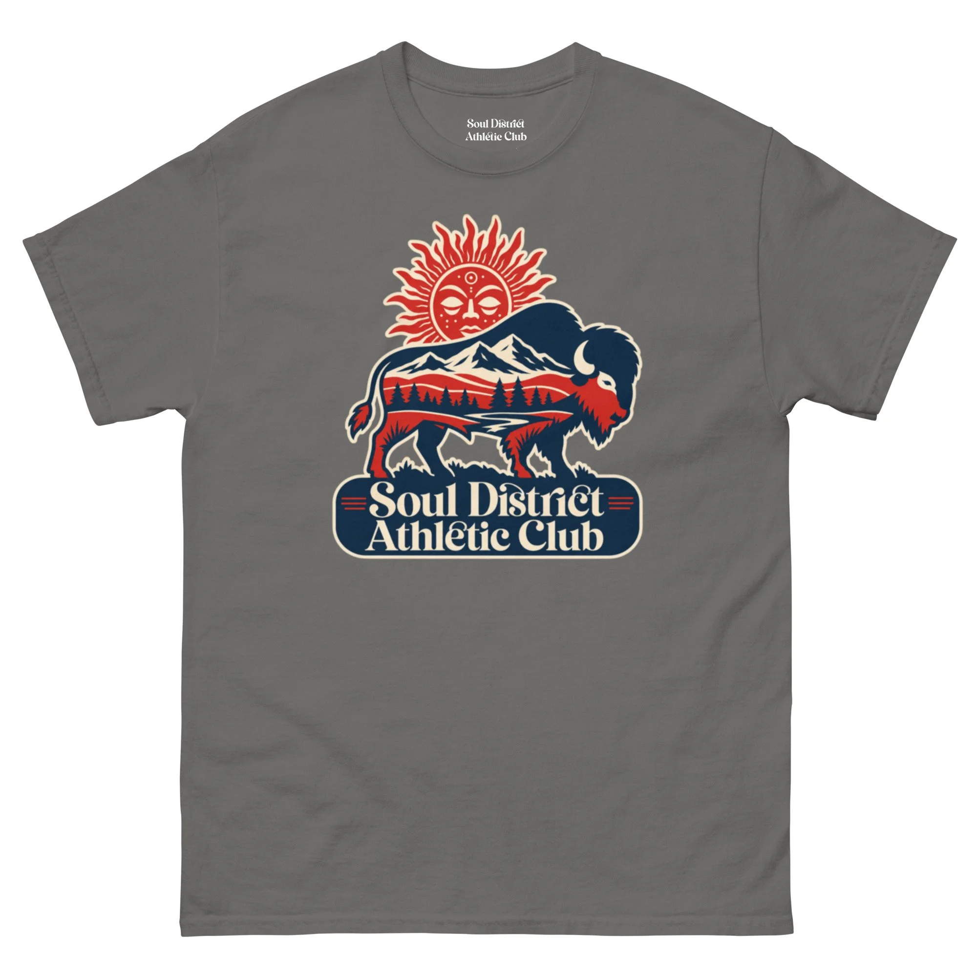 unisex-classic-tee-charcoal-front-6a38c4b600dad.jpg