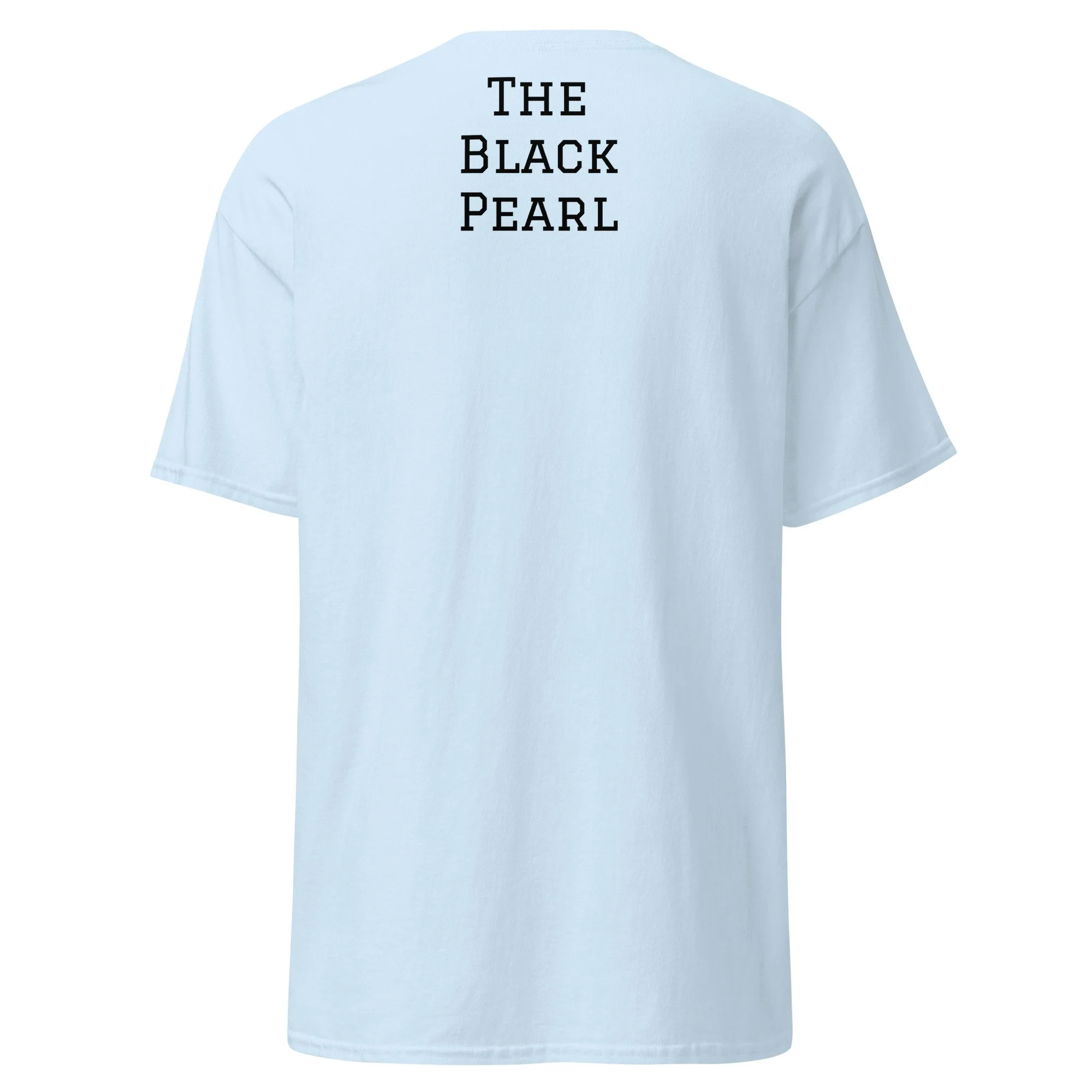 unisex-classic-tee-light-blue-back-6a39fc76b040c.jpg