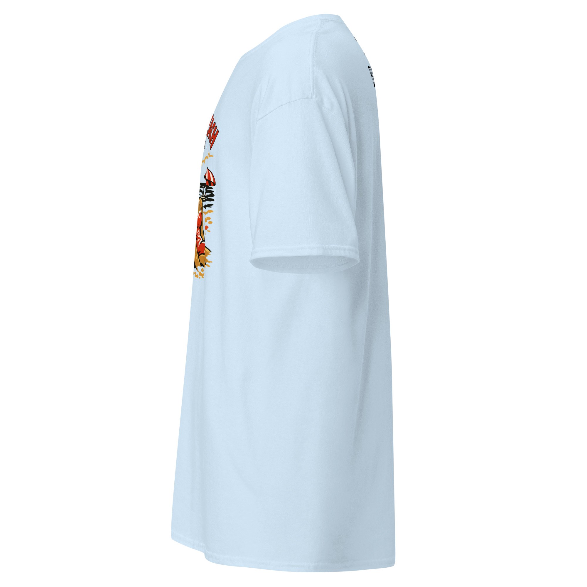 unisex-classic-tee-light-blue-left-6a39fc76b25c4.jpg