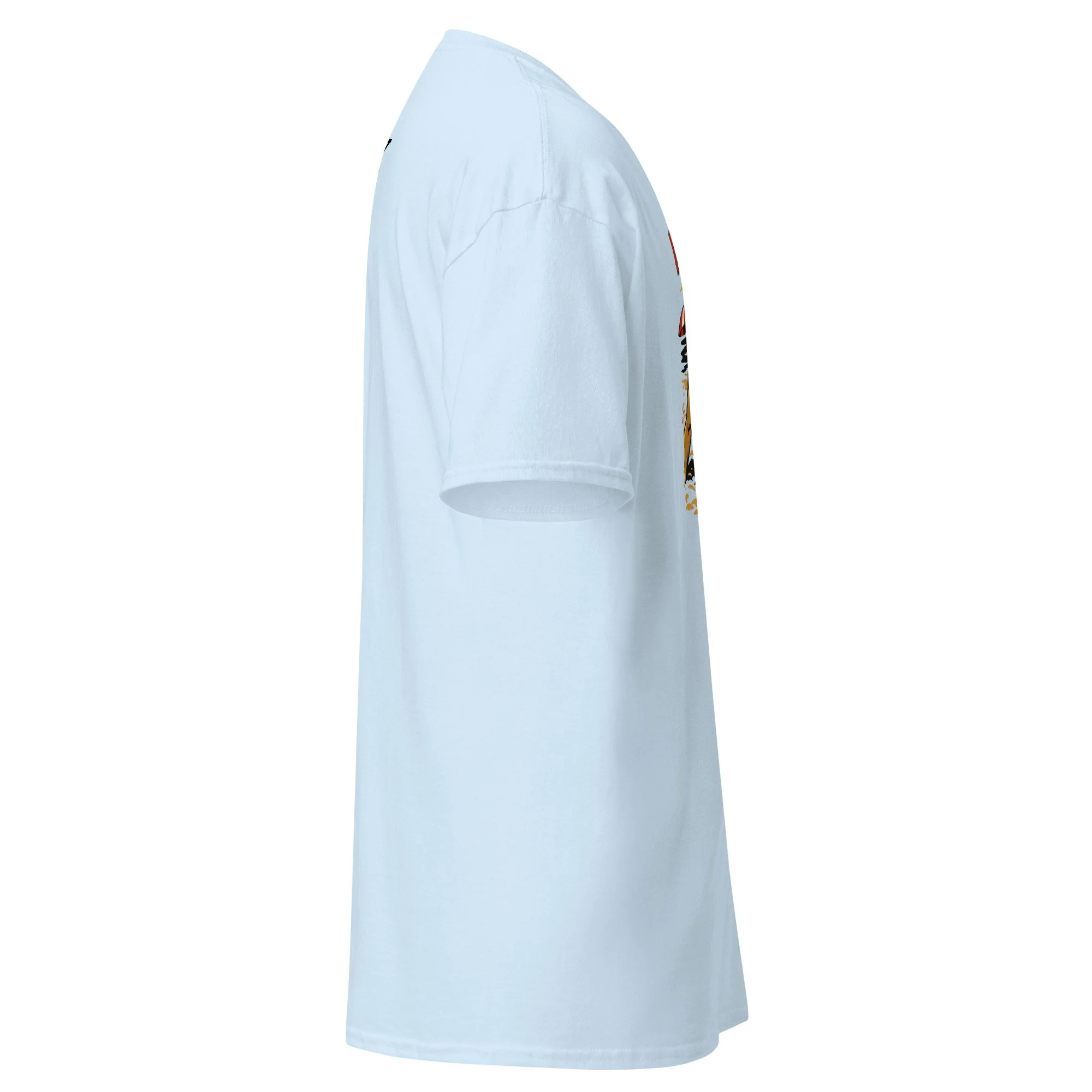 unisex-classic-tee-light-blue-right-6a39fc76b48e1.jpg