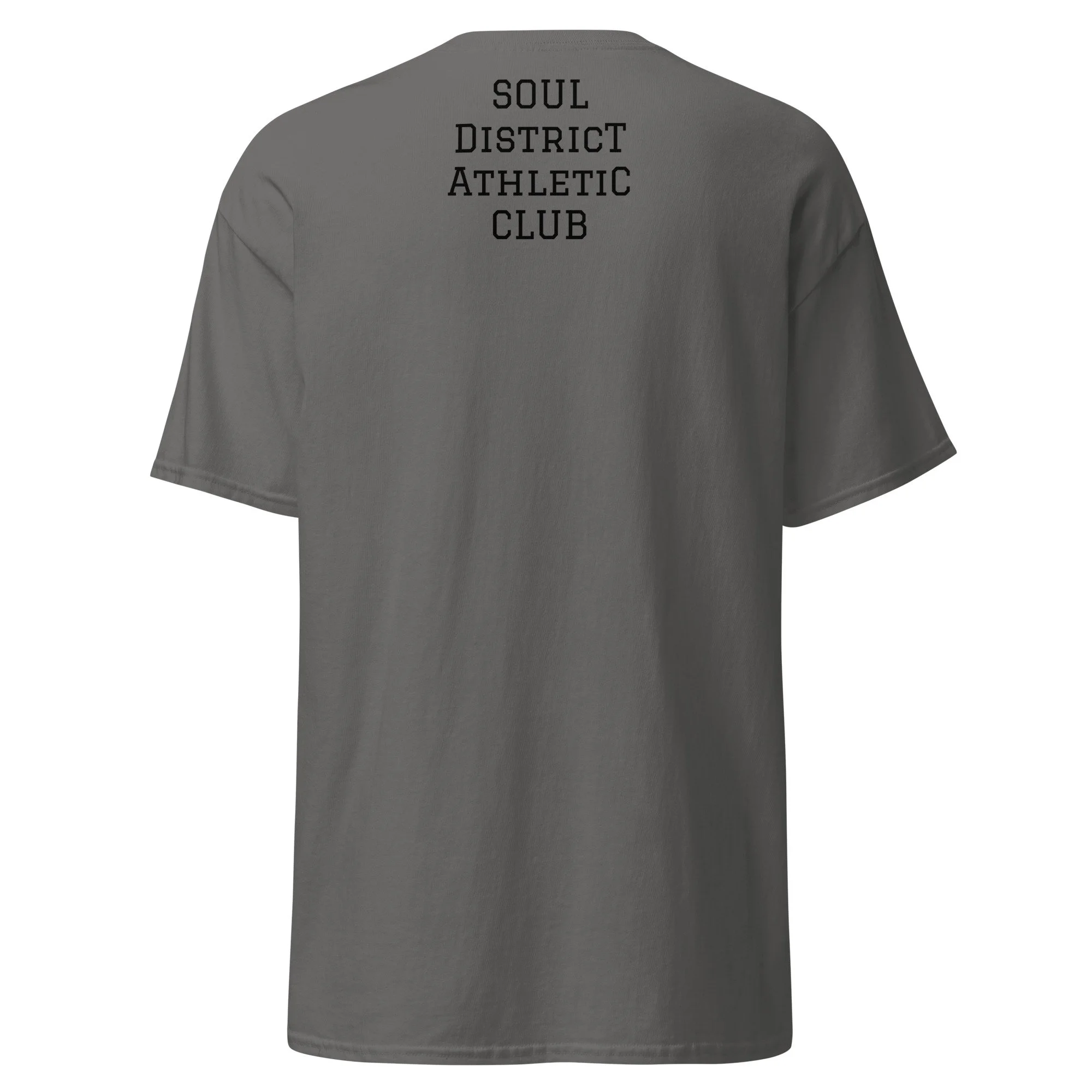 unisex-classic-tee-charcoal-back-6a3b665850f2d.jpg