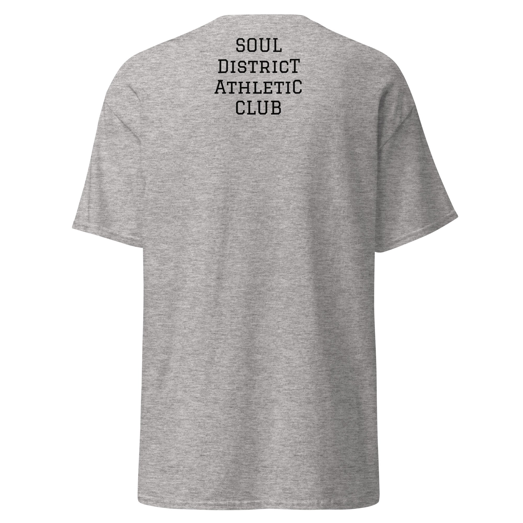 unisex-classic-tee-sport-grey-back-6a3b66585c86b.jpg